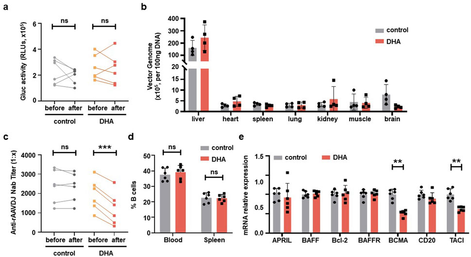 Graphical representations of experimental data comparing control and DHA treatments across different metrics. a) Gluc activity shows no significant change before and after in both control and DHA groups.b) Vector genome levels are highest in the liver for both groups, with much lower levels in other organs.c) Anti-rAAVDJ Nab titer significantly decreases after DHA treatment but not in the control.d) Percentage of B cells shows no significant difference in blood and spleen between groups.e) mRNA expression of BCMA and TACI is significantly different between the groups, while other markers are not. Error bars indicate variability.
