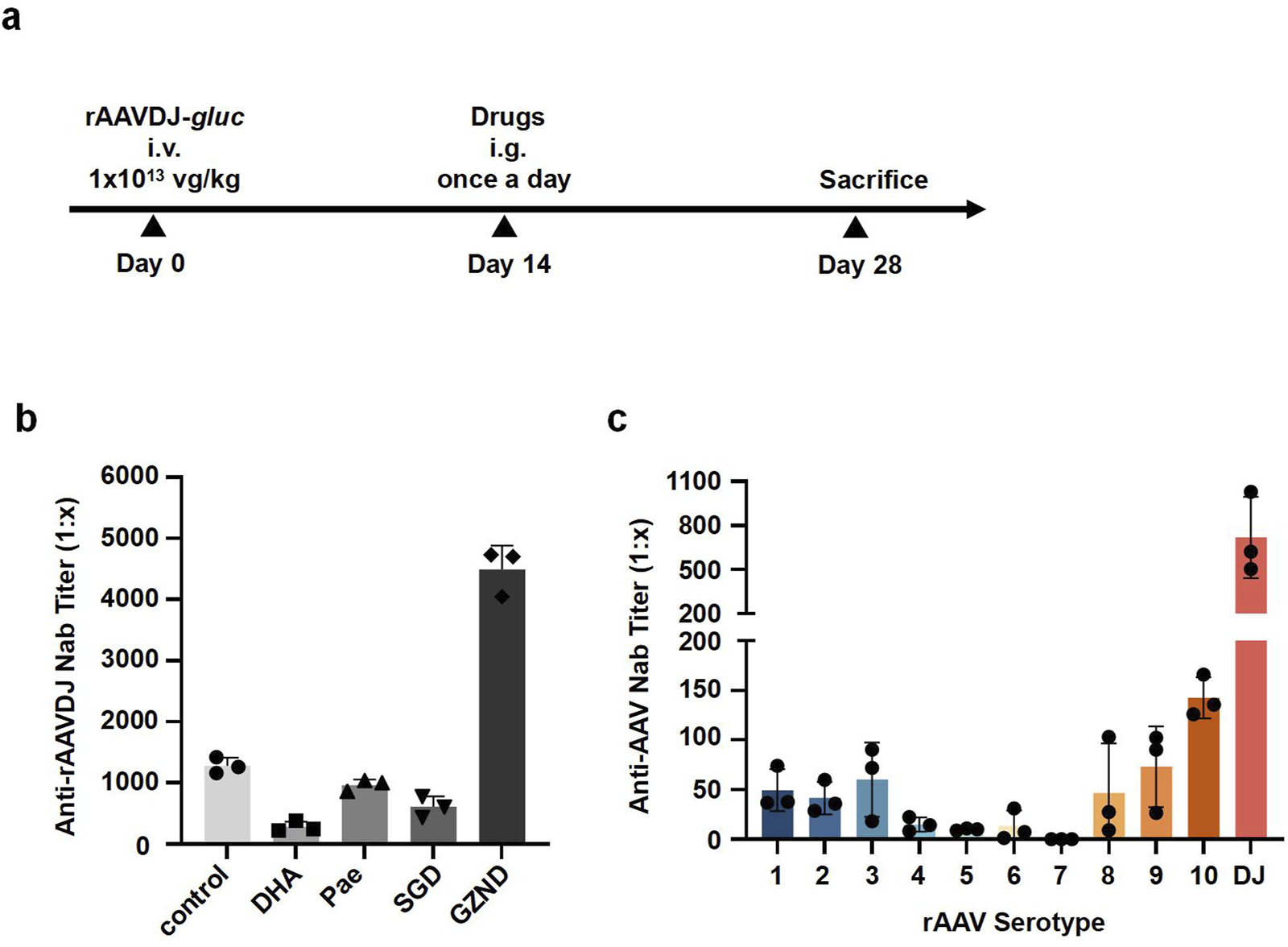 Timeline and bar charts showing study data. Panel a illustrates a study timeline with key events: administration of rAAVDJ-gluc on Day 0, drugs given daily from Day 14, and sacrifices on Day 28. Panel b shows a bar graph of anti-rAAVDJ neutralizing antibody titers across different treatment groups, with DHA having the lowest titer. Panel c displays a bar graph of titers across various rAAV serotypes, with serotype DJ having the highest titer. Each bar includes error bars and individual data points.