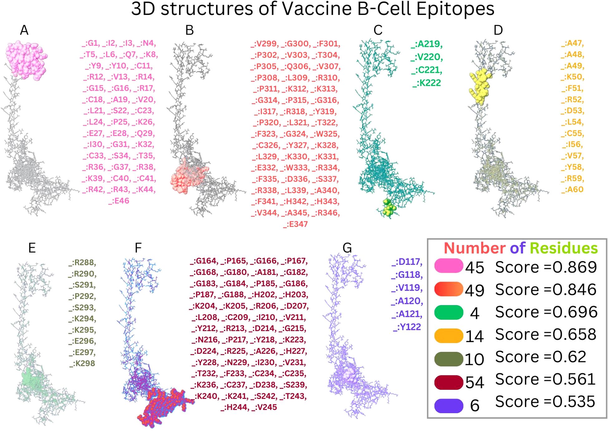3D structures of Vaccine B-Cell Epitopes are displayed in panels labeled A to G, each with color-coded sections representing different residues. A legend shows the number of residues and corresponding scores for each color: pink (45 residues, score 0.869), orange (49 residues, score 0.846), green (4 residues, score 0.696), teal (14 residues, score 0.658), brown (10 residues, score 0.62), red (54 residues, score 0.561), and purple (6 residues, score 0.535). Each structure is interconnected, illustrating key epitopic regions.