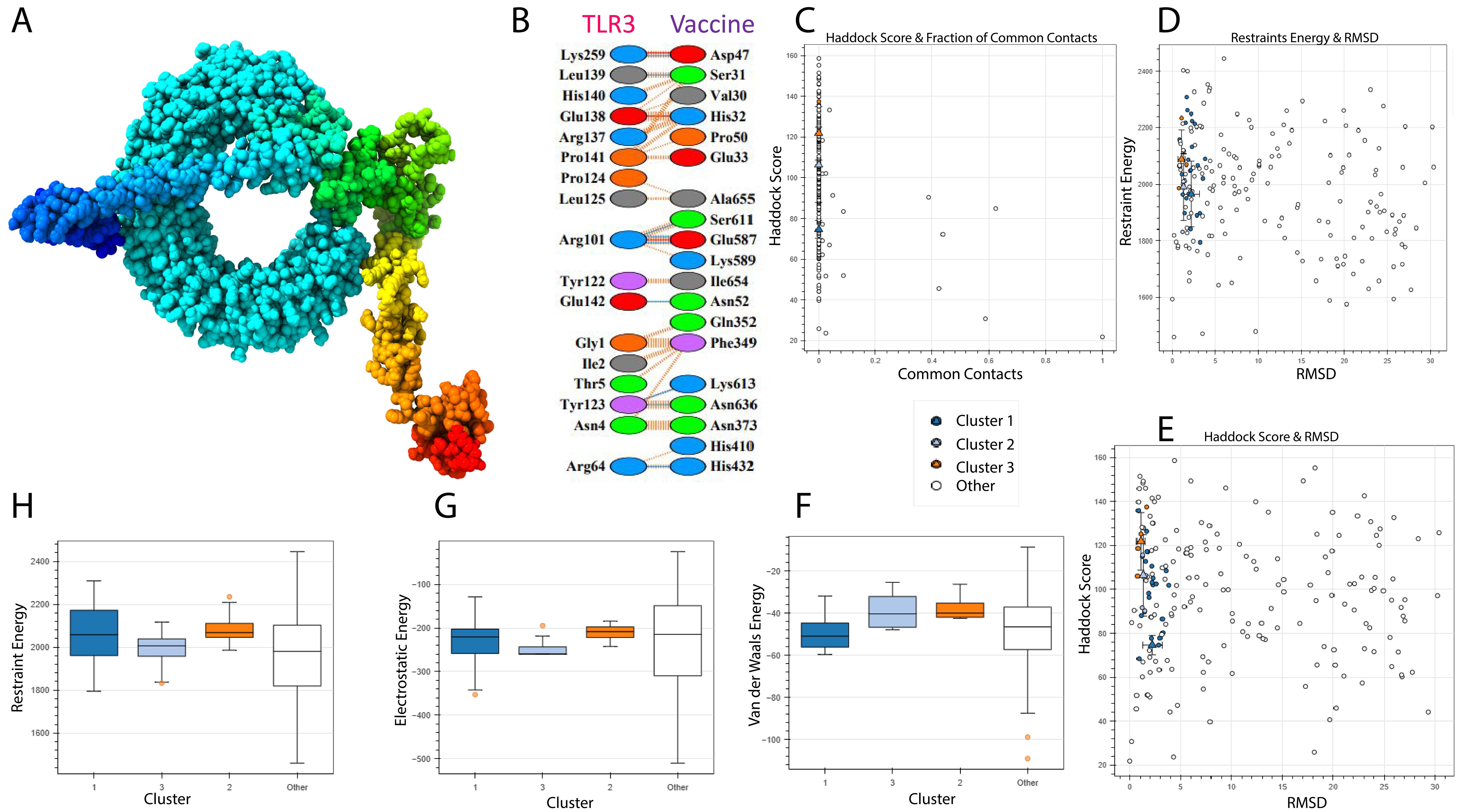 Molecular visualization of a protein complex in various colors, showing interaction points. Diagram B details amino acid interactions between TLR3 and a vaccine. Scatter plots C, D, E compare Haddock score, restraint energy, and RMSD across clusters. Box plots F, G, H show energy variations for different clusters, labeled by cluster numbers and energy types.