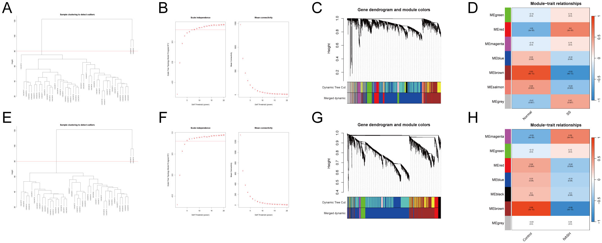 Panel A and E show hierarchical cluster trees for sample outlier detection. Panels B and F display scale independence and mean connectivity plots. Panels C and G present gene dendrograms with module colors. Panels D and H feature heatmaps of module-trait relationships with different color scales, showing correlations between modules and traits like “Normal” vs. “SS” and “Control” vs. “NASH”.