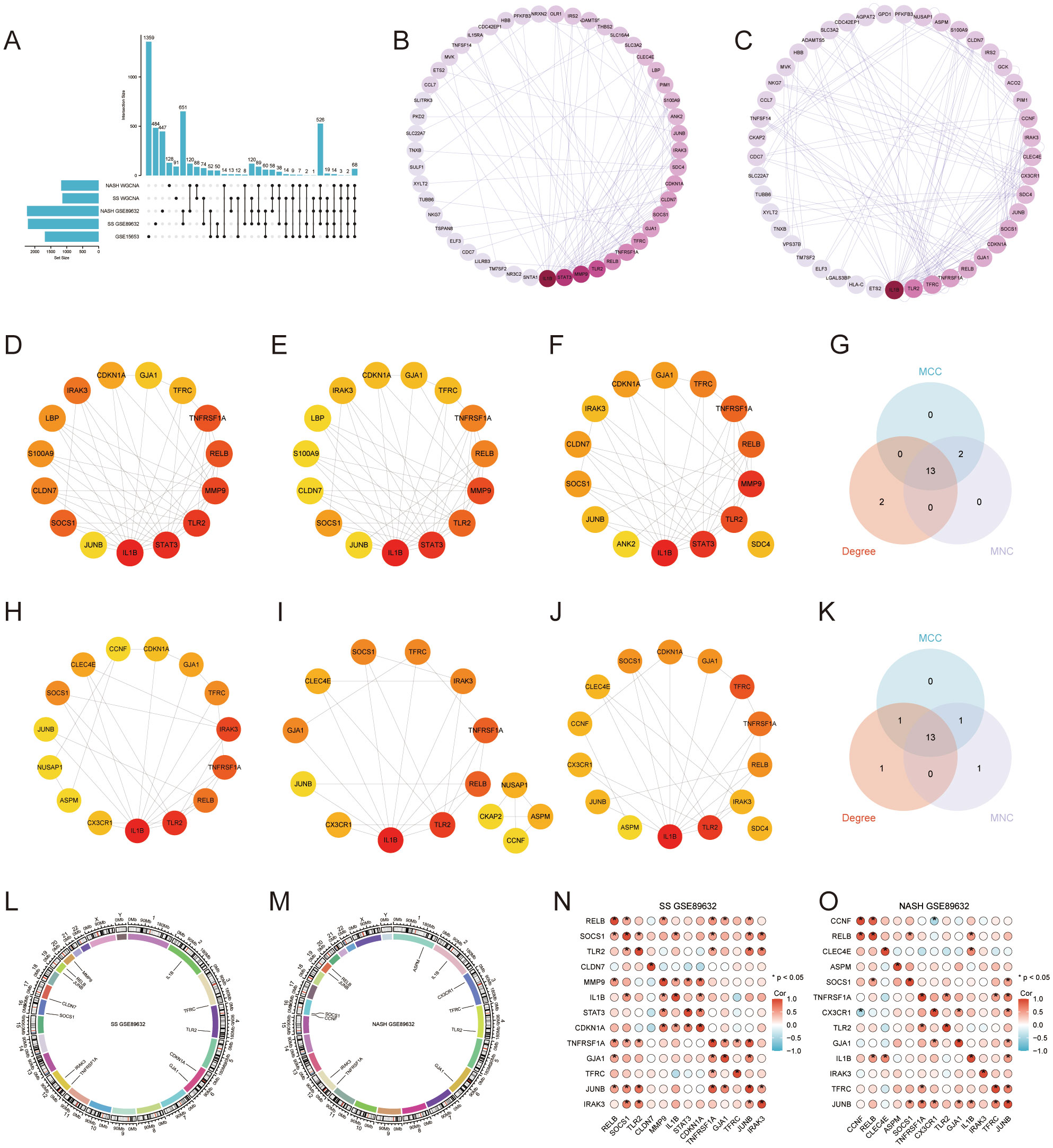 Image showing multiple panels of graphical data analysis related to gene expression. Panel A presents an upset plot indicating shared features among datasets. Panels B and C display circular network graphs with nodes representing genes, colored by degree of connectivity, from dark purple to light. Panels D to J feature similar network graphs with genes highlighted in red, orange, or yellow based on specific criteria. Panels G and K display Venn diagrams illustrating intersections among different metrics. Panels L and M show circular diagrams mapping gene positions. Panels N and O contain heatmaps detailing gene expression levels across conditions, using red and green scales.