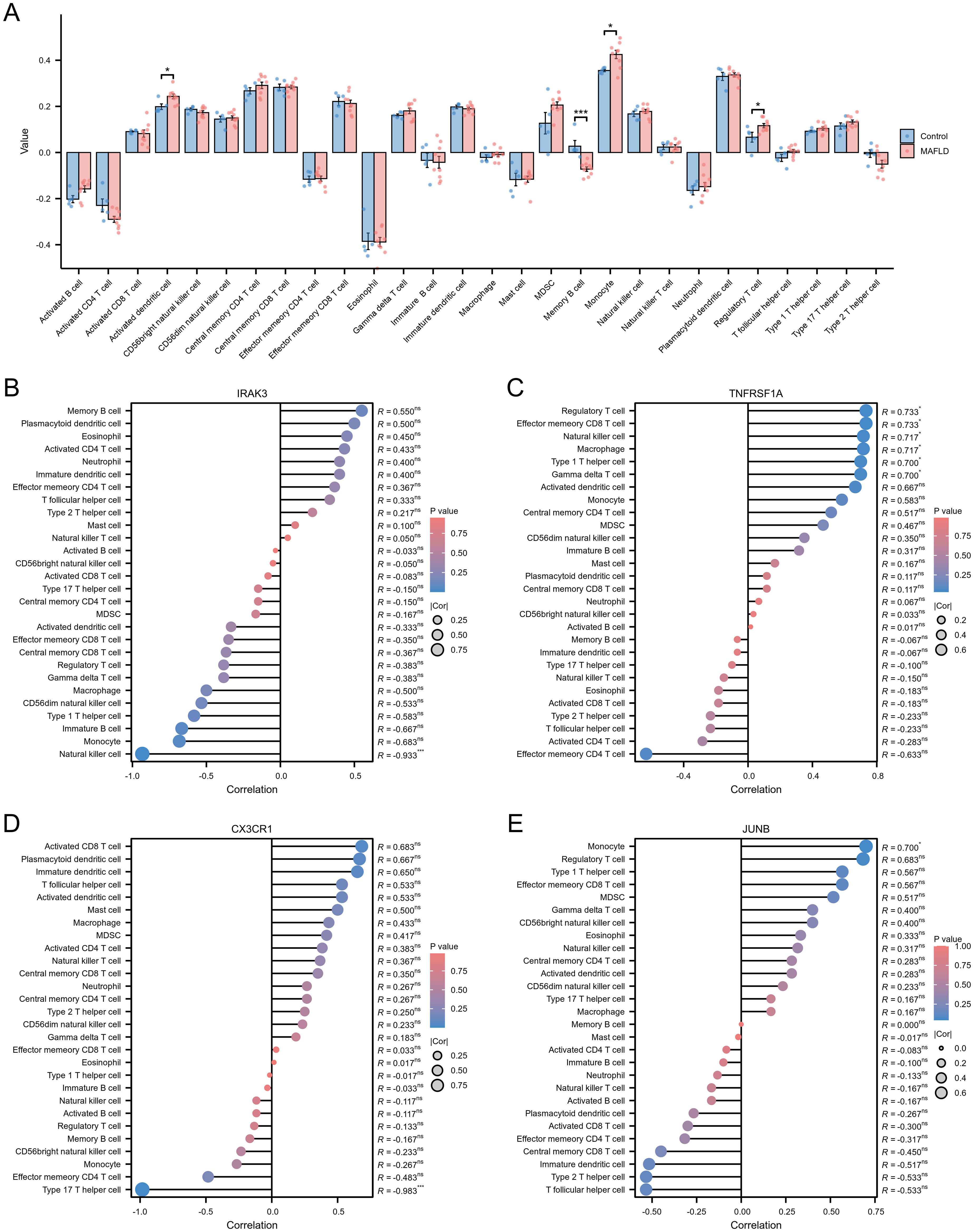 Panel A shows a bar graph comparing cell value differences between control and MAFLD groups. Panels B to E present correlation plots for genes IRAK3, TNFRSF1A, CX3CR1, and JUNB with different immune cells, highlighting correlations, p-values, and variance for each.