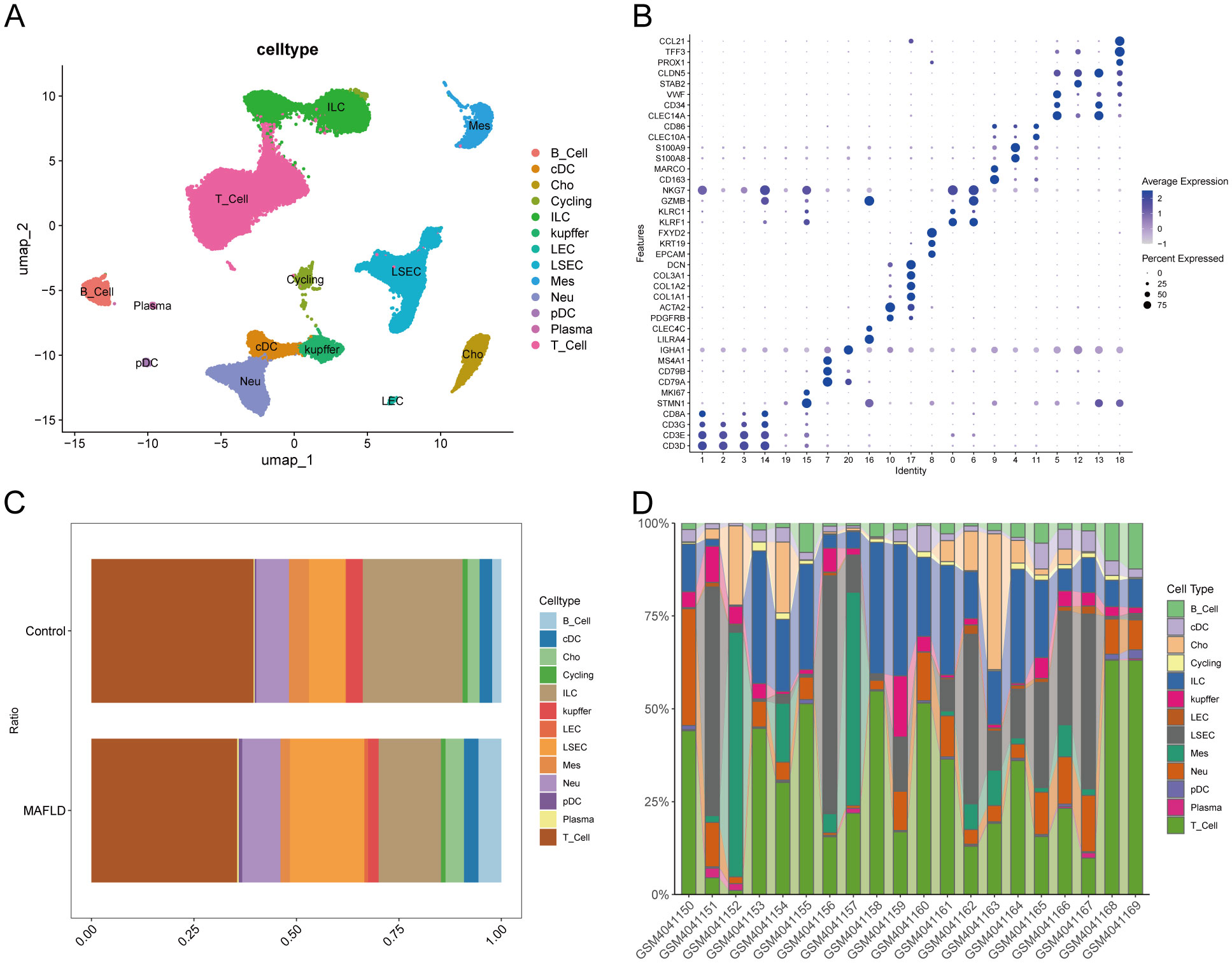 Panel A shows a UMAP plot clustering cell types with different colors. Panel B is a dot plot presenting gene expression across identities with varying dot sizes and shades. Panel C displays stacked bar charts comparing cell type ratios between control and MAFLD groups. Panel D illustrates a stacked bar chart of cell type distribution across samples.