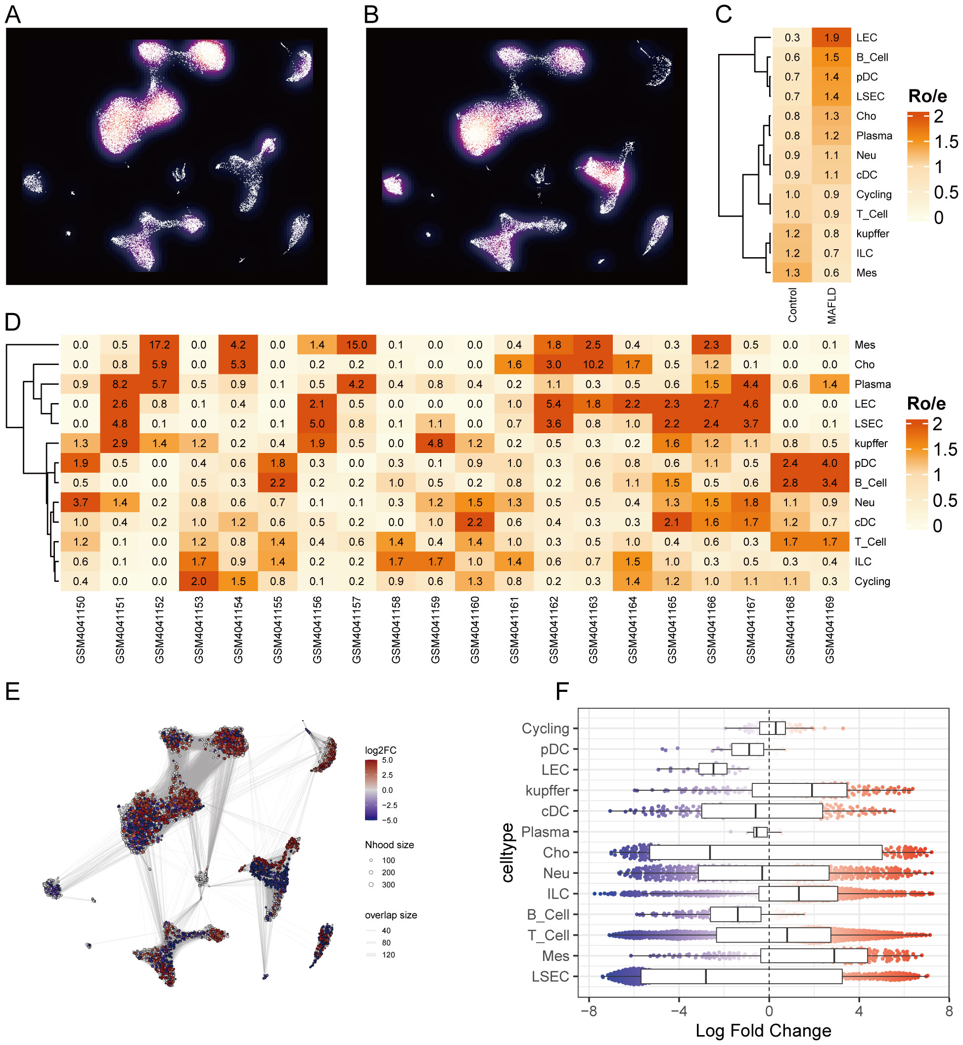Panels A and B show fluorescent microscopy images of cellular structures. Panel C presents a clustered heatmap indicating gene expression ratios for different cell types, with color intensity representing expression levels. Panel D is a detailed heatmap showing gene expression values across various samples and conditions, using a red-to-orange scale to denote higher expression levels. Panel E displays a network graph visualizing log2-fold changes in gene expression, with node sizes representing neighborhood size and colors indicating expression magnitude. Panel F is a box plot illustrating log fold changes in gene expression across different cell types, with data points spread along the x-axis.
