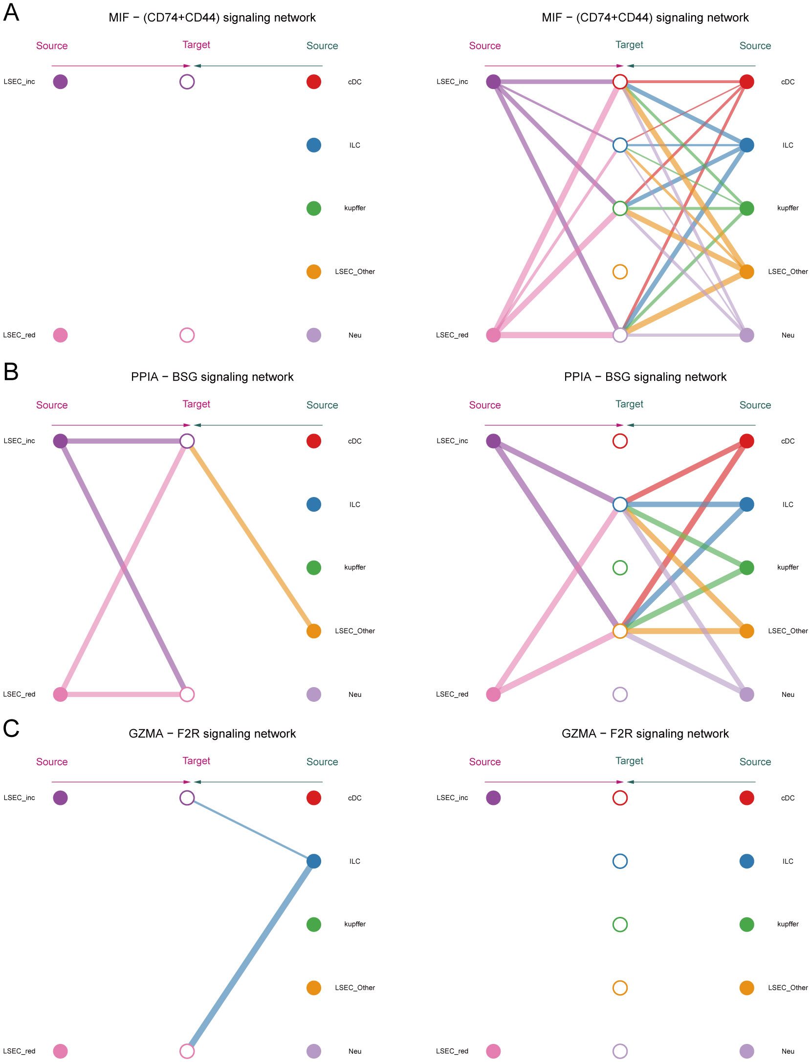 Diagrams visualizing three signaling networks, labeled A, B, and C. Each has two panels, showing sparse and interconnected signaling links among various cell types, represented by colored nodes. Networks include MIF, PPIA, and GZMA signaling pathways, indicating sources and targets across different cell types like cDC, ILC, Kupffer, and LSEC variants.