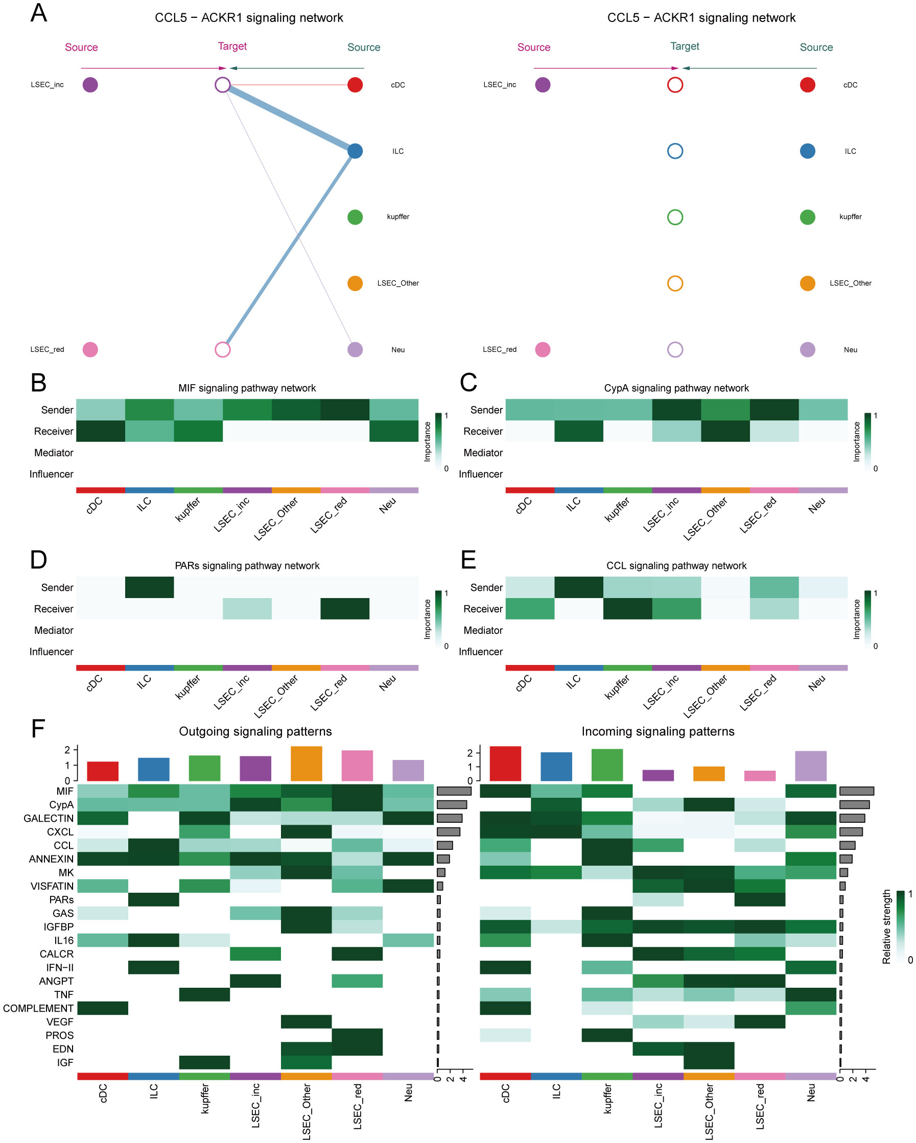 Diagram illustrating the CCL5-ACKR1 signaling network and related pathways. Panel A shows source-target interactions with colored nodes connecting different cell types. Panels B to E display heatmaps of MIF, CypA, PARs, and CCL signaling pathway networks, detailing roles like sender, receiver, mediator, and influencer. Panel F presents heatmaps of outgoing and incoming signaling patterns across various factors, showing relative strengths. Each cell type and factor is represented by distinct colors or shades.