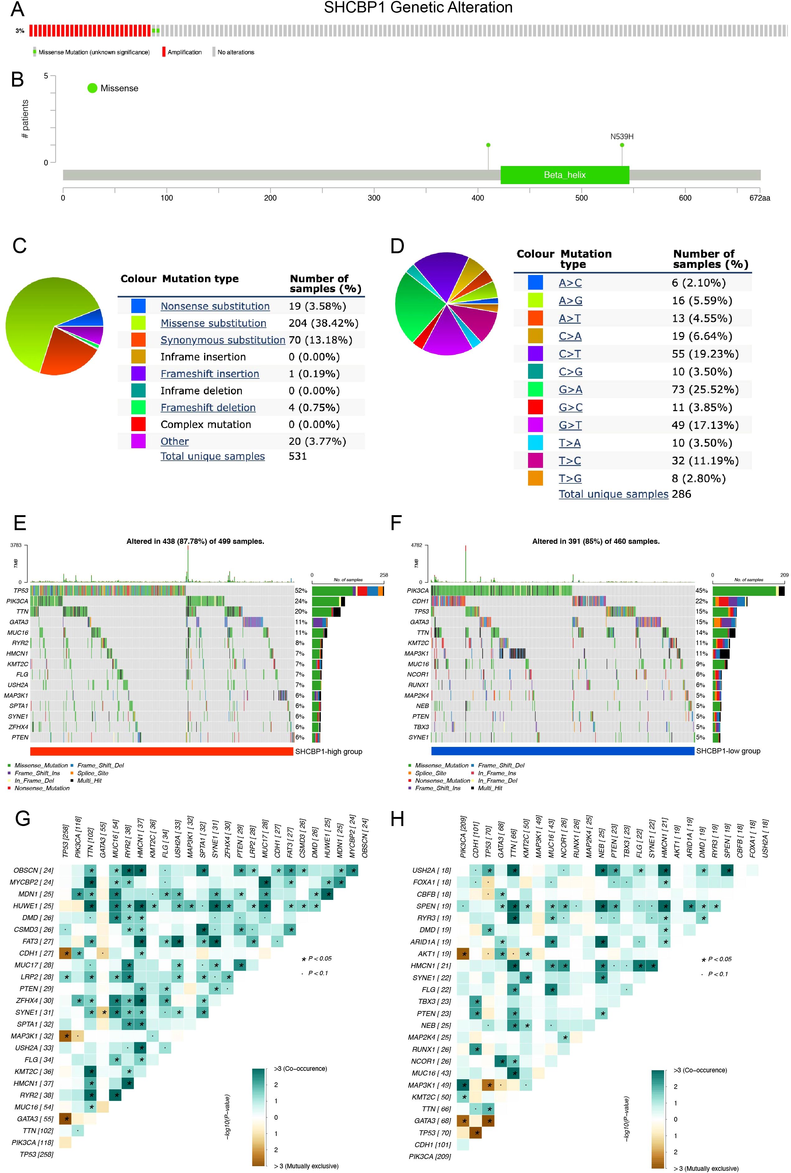 Genetic alteration analysis of SHCBP1 shows multiple visualizations. Panel A displays alteration frequency with missense mutations highlighted. Panel B is a distribution bar graph for mutations. Panels C and D present pie charts detailing mutation types and frequencies. Panels E and F are heatmaps showing mutation profiles in SHCBP1-high and SHCBP1-low groups, respectively. Panels G and H display co-occurrence and mutual exclusivity of mutations among genes, using a heatmap with color-coded significance levels.