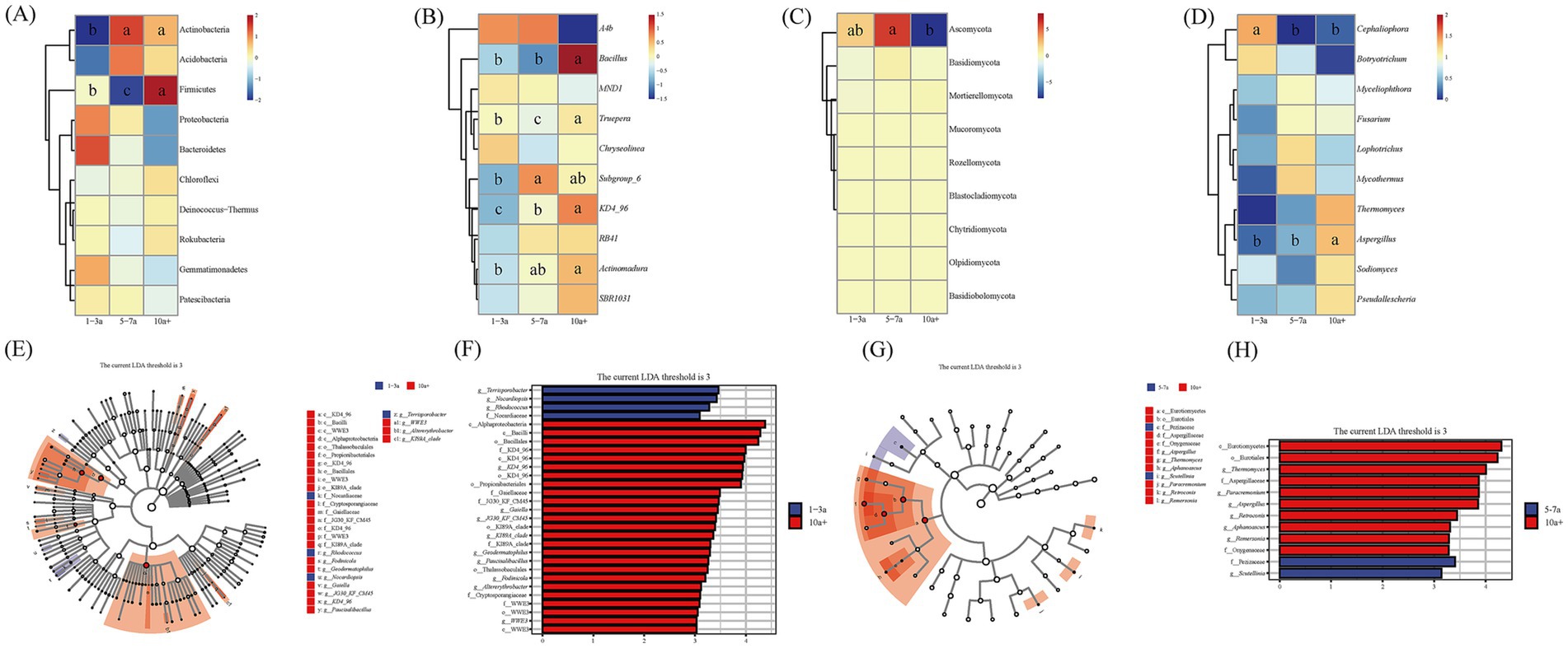 Heatmaps, classification dendrograms and bar charts illustrate the microbial composition of differentplanting years (1 - 3 years, 5 - 7 years, over 10 years). Figures (A - D) show the relative abundance of bacterial and fungal phyla and genera through color changes. Figures (E - H) present classification dendrograms and absolute linear discriminant analysis (LDA) bar charts based on the linear discriminant analysis effect size (LEfSe), demonstrating the significant species of bacteria and fungi from phylum tospecies level based on an LDA threshold of 3. The planting years include 1 - 3 years, 5 - 7 years and over 10 years, which are distinguished by color.