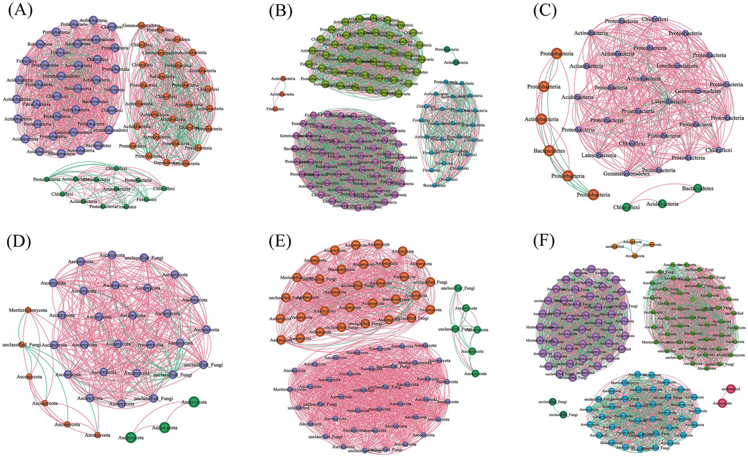 Analysis of soil microbial community interaction networks under different continuous cropping years. (A - C) are the co-occurrence networks of bacteria under continuous cropping for 1 - 3 years, 5 - 7 years, and over 10 years, respectively. (D - F) are the co-occurrence networks of fungi under continuous cropping for 1 - 3 years, 5 - 7 years, and over 10 years, respectively. Red and green lines represent positive andnegative interactions between two nodes, respectively. The co-occurrence networks are colored by modules. Each network graph shows the relationships between different bacteria and different fungi.