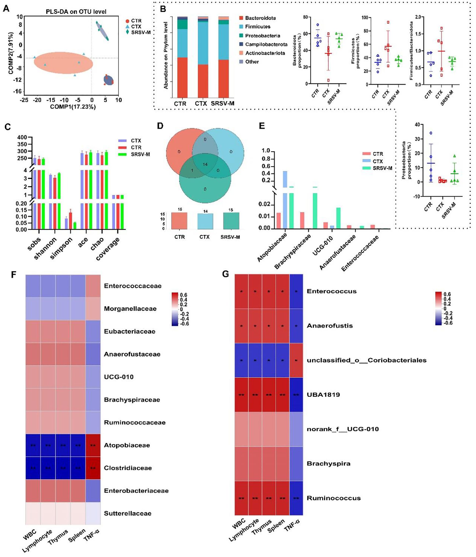 The image contains multiple panels with graphs and charts. Panel A shows a PLS-DA plot at the OTU level comparing different groups (CTR, CTX, SRSV-M). Panel B presents stacked bar charts of bacterial phylum-level abundance and box plots for specific phyla. Panel C features bar charts of diversity indices (observed, Shannon, Simpson, ACE, Chao, Coverage). Panel D includes a Venn diagram of shared OTUs and bar charts of unique OTUs. Panel E exhibits bar and box plots of bacterial family abundance. Panels F and G show heatmaps of bacterial families and genera with intensity scales indicating abundance levels across different conditions.