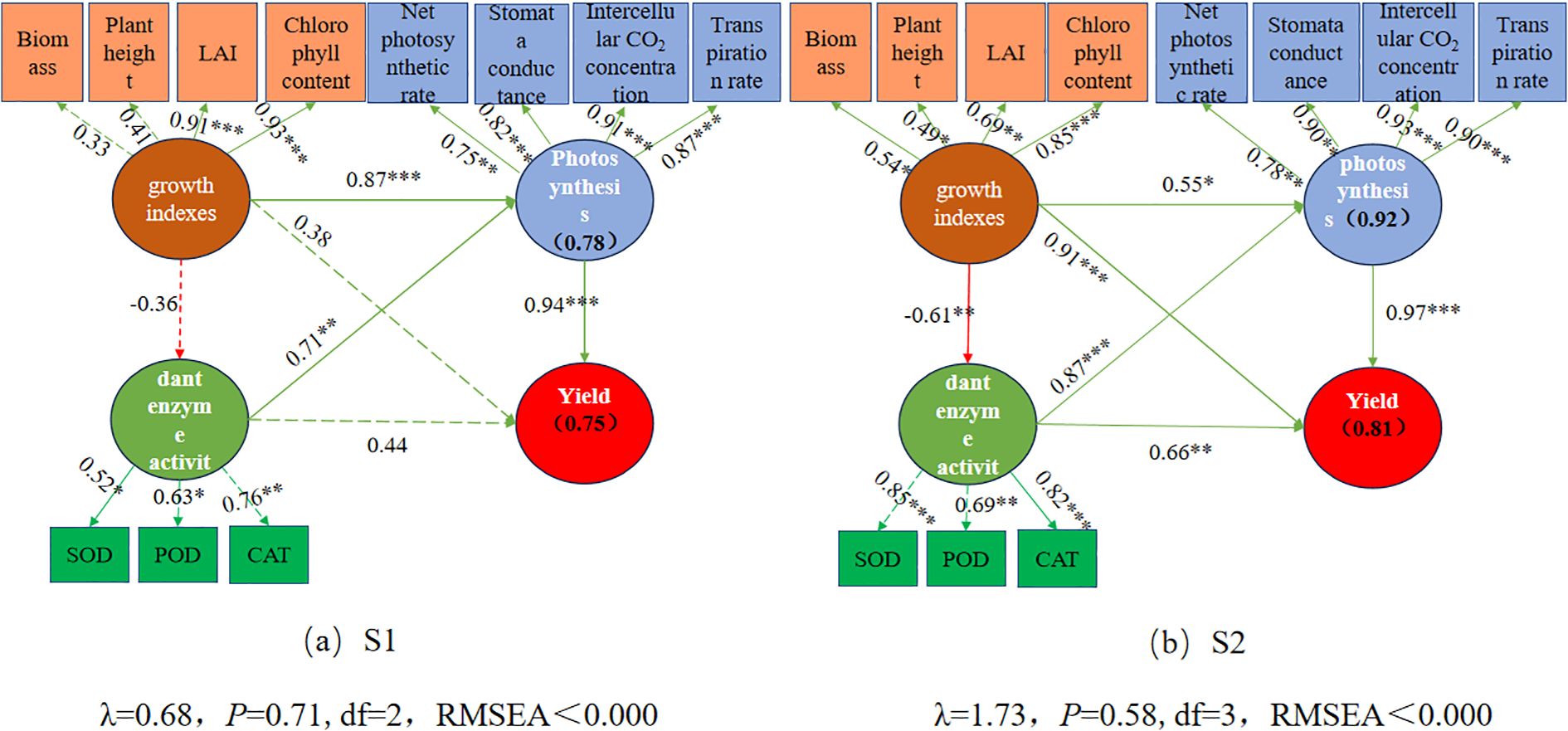 Two structural equation models titled S1 and S2 show interrelations among growth indexes, photosynthesis, dant enzyme activity, and yield. Arrows with coefficients indicate causal pathways between variables, such as photosynthesis impacting yield, and growth indexes affecting enzyme activity. Components like SOD, POD, and CAT are included under enzyme activity. The models display several coefficients and significance levels.