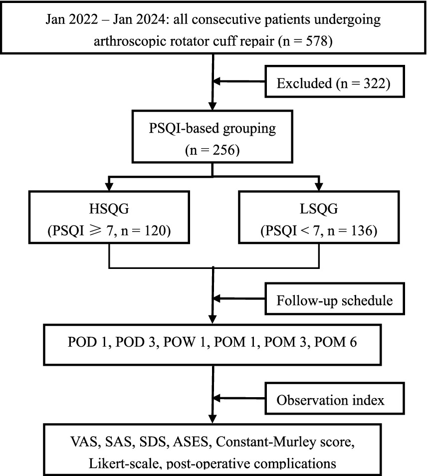 Flowchart depicting patient grouping and follow-up in a study from January 2022 to January 2024. Out of 578 patients undergoing rotator cuff repair, 322 were excluded. Remaining 256 were grouped by PSQI score: HSGQ (PSQI ≥ 7, n=120) and LSGQ (PSQI < 7, n=136). Follow-up schedule includes POD 1, POD 3, POW 1, POM 1, POM 3, POM 6, with observation index measuring VAS, SAS, SDS, ASES, Constant-Murley score, Likert scale, and post-operative complications.