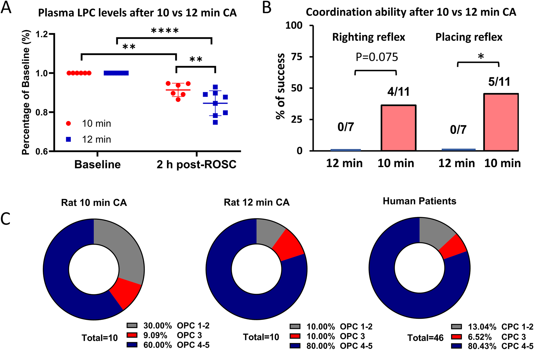 Panel A shows a scatter plot comparing plasma LPC levels at baseline and two hours post-ROSC in rats after 10 and 12 minutes of cardiac arrest (CA). LPC levels significantly decrease from baseline in both groups. Panel B displays a bar chart of coordination ability, measured as righting and placing reflexes, after 10 and 12 minutes of CA. There is a moderate difference in righting reflex, and a significant increase in placing reflex for the 10-minute group. Panel C includes three donut charts showing OPC and CPC score distributions in rats and human patients post-CA. The majority have scores of OPC 4-5 or CPC 4-5.