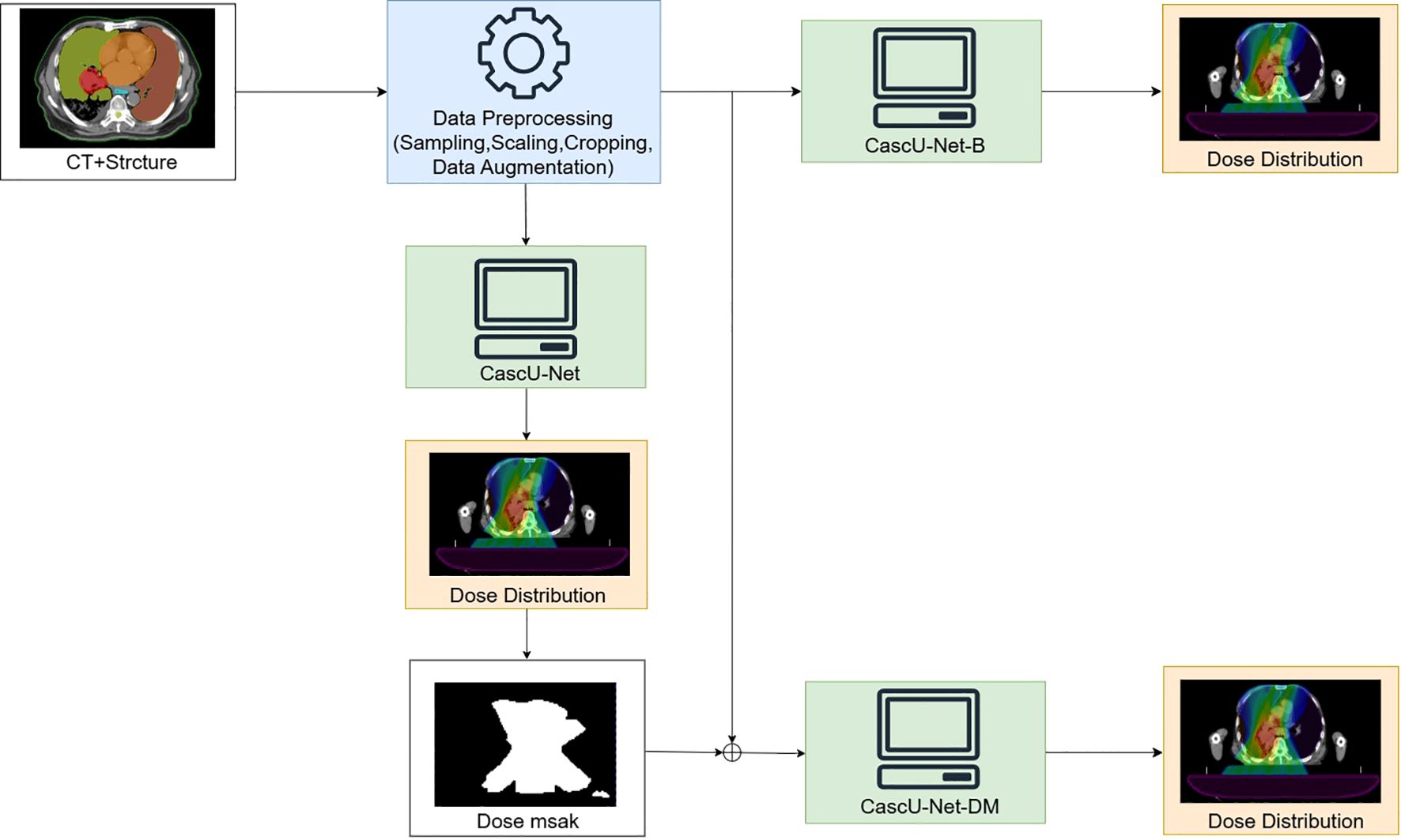 Flowchart depicting a CT and structure analysis process. It starts with CT+Structure, leading to data preprocessing including sampling, scaling, cropping, and data augmentation. This is followed by CascU-Net and branching to CascU-Net-B, producing a dose distribution. Parallelly, formations include a dose mask merging into CascU-Net-DM, ending with an additional dose distribution.
