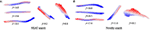 www.frontiersin.org