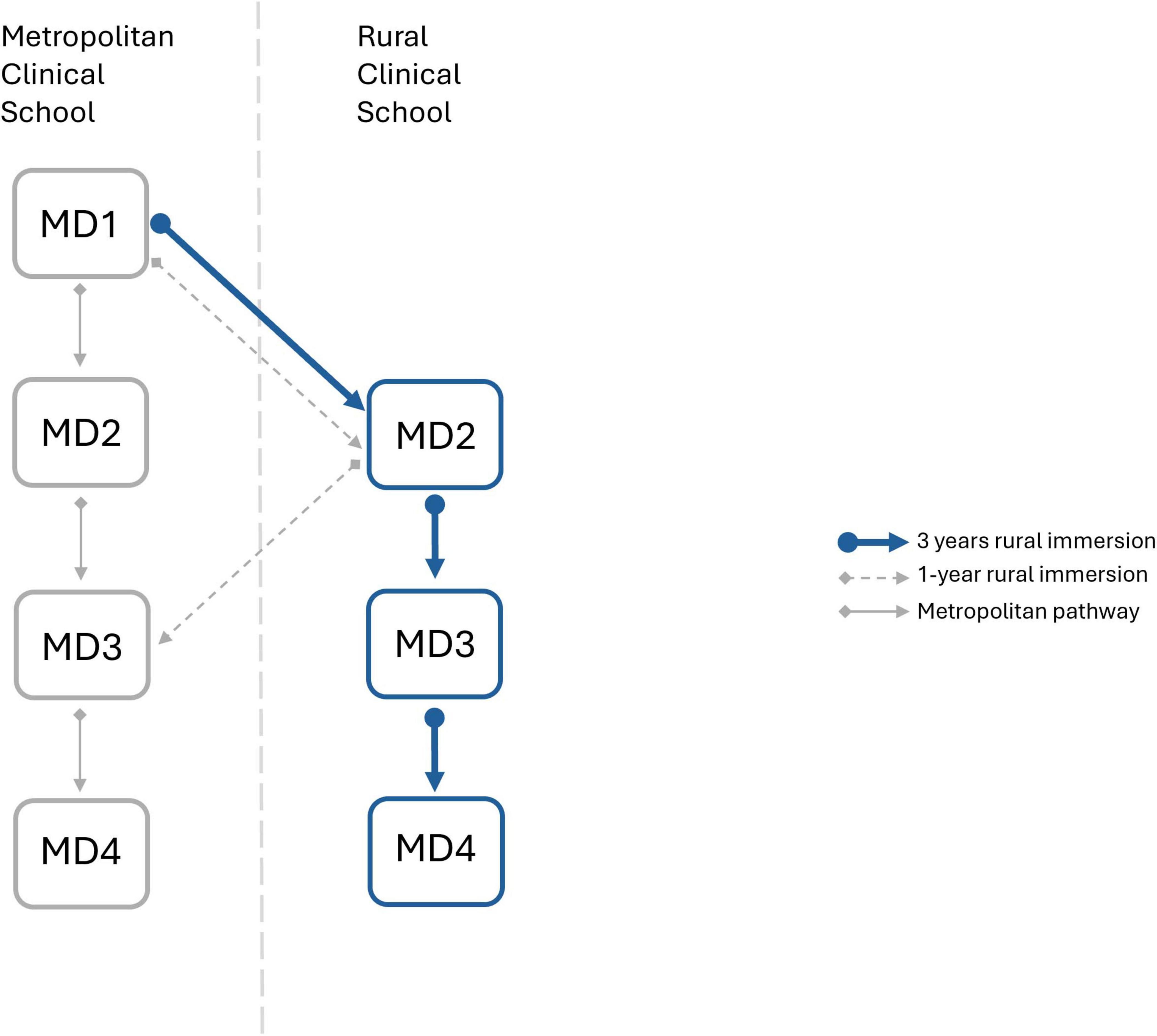 Flowchart illustrating pathways between Metropolitan and Rural Clinical Schools. Three pathways are shown: a solid blue line for a three-year rural immersion from MD1 to MD4, a dashed line for a one-year rural immersion from MD2, and a gray line for the traditional metropolitan pathway.