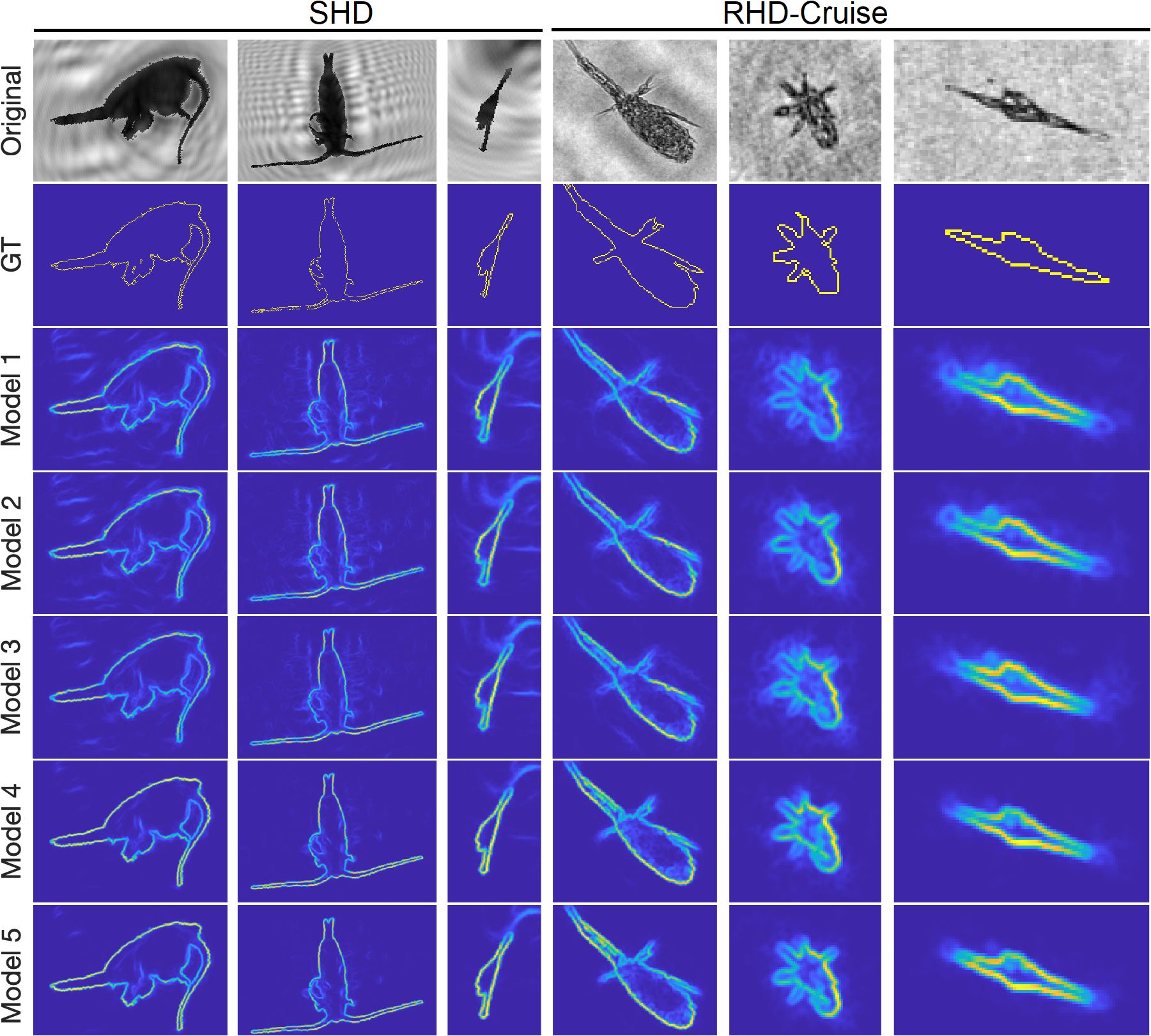 Five rows and six columns show images comparing original, GT, and model outputs for SHD and RHD-Cruise datasets. Top row displays original grayscale images. Second row shows GT outlines in yellow on blue. Remaining rows display outputs from models one to five, with heatmap style effects on blue backgrounds.