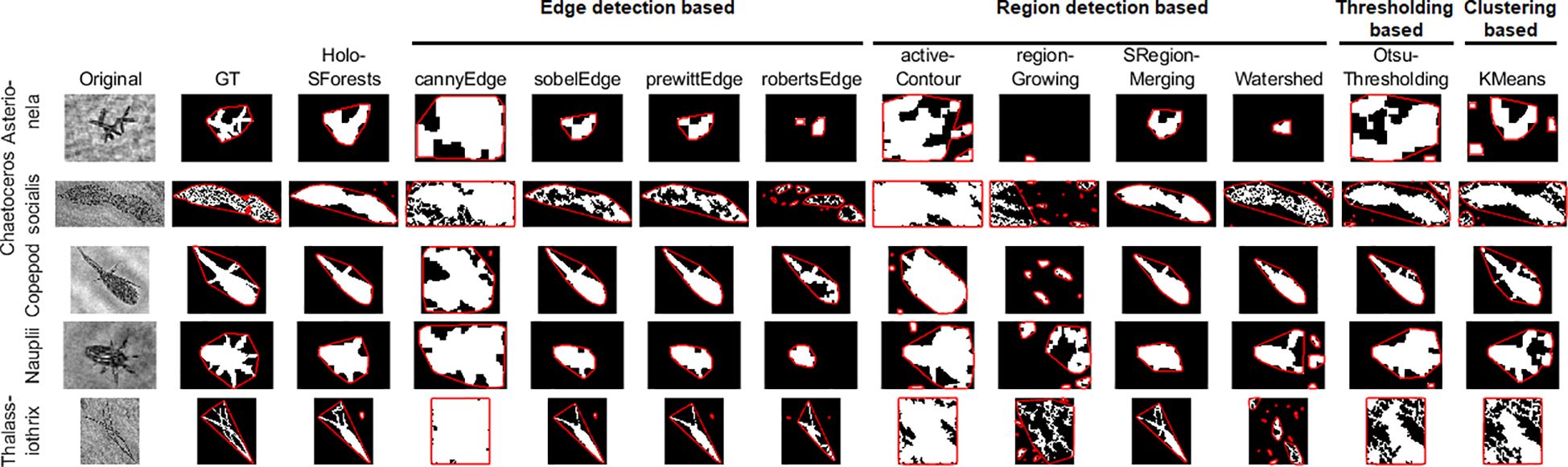 Comparative analysis of image segmentation techniques applied to four types of samples. Rows represent different samples: Chaetoceros Asterionela, Copepod socialis, Nauplii, and Thalassiothrix. Columns categorize methods: Original, Ground Truth (GT), Holo-SForests, several edge detection techniques (Canny, Sobel, Prewitt, Roberts), region detection (active contour, region growing, SRegion merging), thresholding (Otsu), and clustering (KMeans). Each method's output is shown alongside the original for visual comparison.