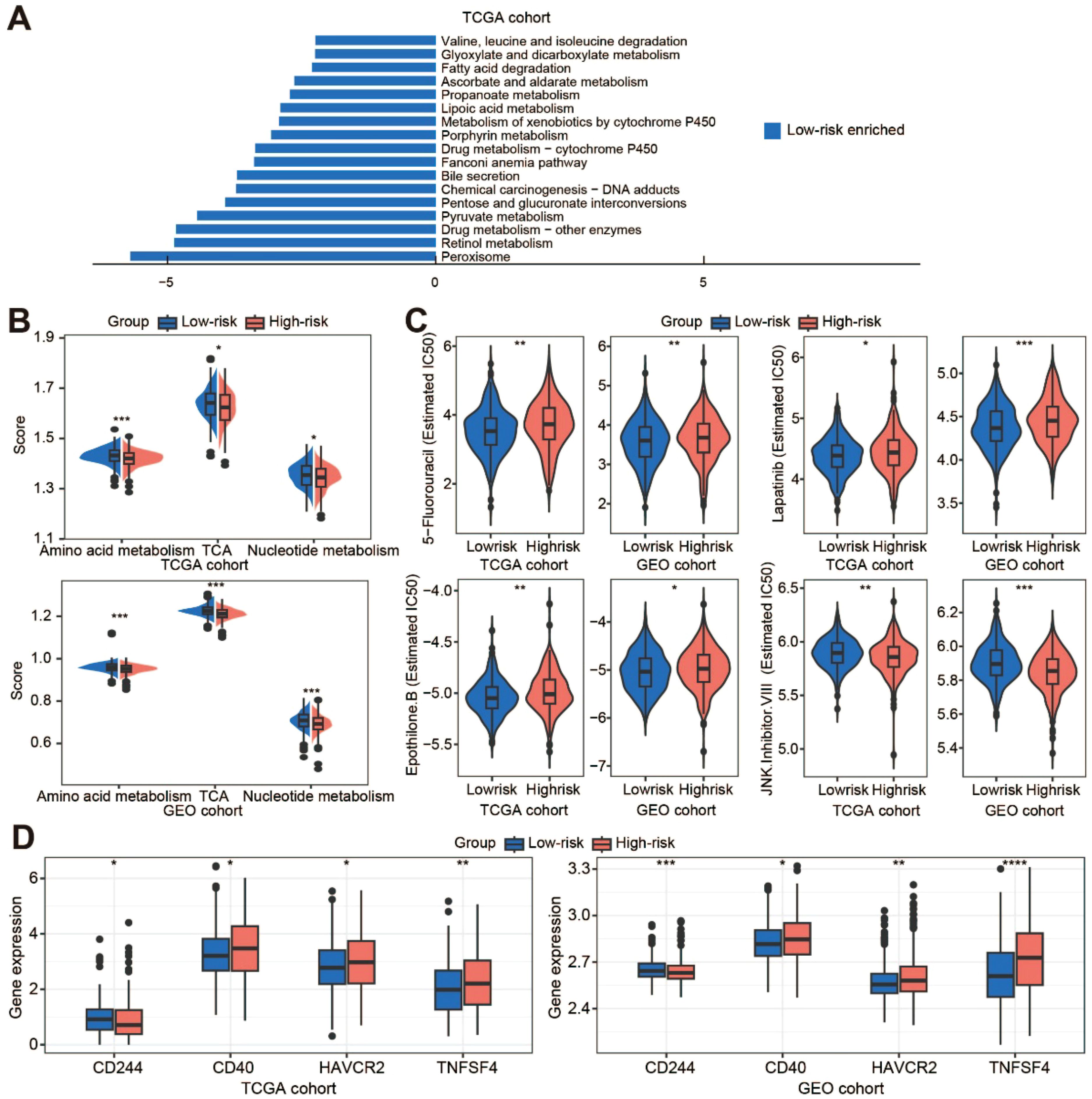 Panel A shows a bar chart comparing various metabolic processes, with “Low-risk enriched” indicated. Panel B displays box plots comparing scores of amino acid metabolism, TCA, and nucleotide metabolism between low-risk and high-risk groups in TCGA and GEO cohorts. Panel C contains violin plots showing the estimated IC50 values for drugs such as 5-Fluorouracil across risk groups in TCGA and GEO cohorts. Panel D depicts box plots of gene expression levels for CD244, CD40, HAVCR2, and TNFSF4 in both cohorts, highlighting differences between low-risk and high-risk groups. Asterisks indicate statistical significance.