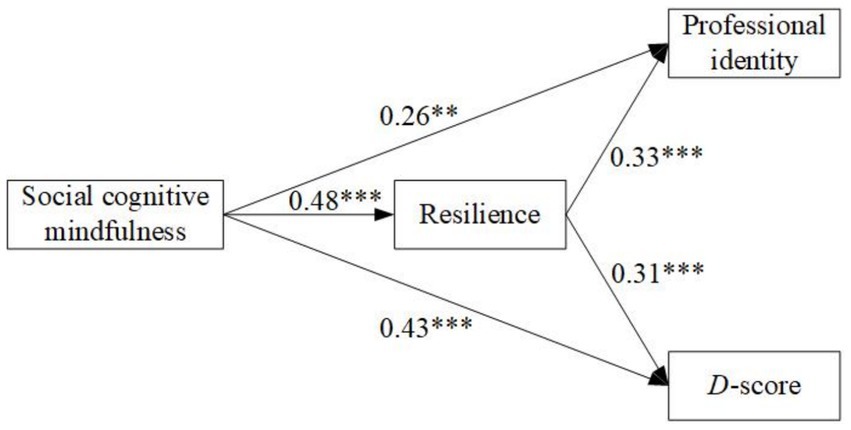 Diagram illustrating relationships between social cognitive mindfulness, resilience, professional identity, and D-score. Arrows depict paths: social cognitive mindfulness to resilience (0.48***), professional identity (0.26**), and D-score (0.43***). Resilience leads to professional identity (0.33***) and D-score (0.31***).
