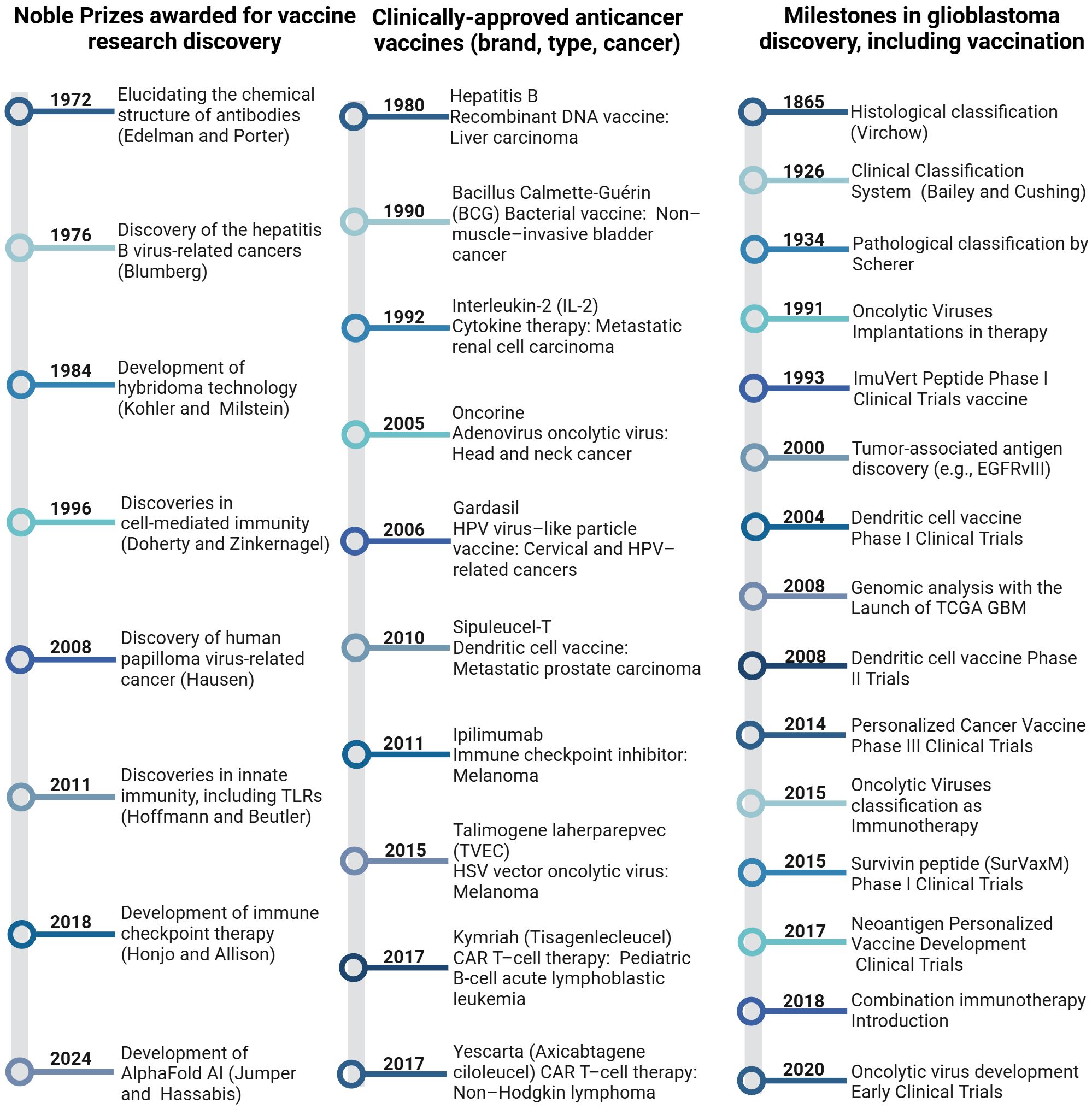 Timeline graphic with three columns detailing important events. 1. **Nobel Prizes for Vaccine Research Discovery (1972-2024)**: - 1972: Chemical structure of antibodies by Edelman and Porter. - 1976: Hepatitis B discovery by Blumberg. - 1984: Hybridoma technology by Kohler and Milstein. - 1996: Cell-mediated immunity by Doherty and Zinkernagel. - 2008: HPV-related cancer by Hausen. - 2011: Innate immunity discoveries by Hoffmann and Beutler. - 2018: Immune checkpoint therapy by Honjo and Allison. - 2024: AlphaFold AI by Jumper and Hassabis. 2. **Clinically-Approved Anticancer Vaccines (1980-2017)**: - 1980: Hepatitis B vaccine for liver carcinoma. - 1990: BCG vaccine for bladder cancer. - 1992: IL-2 cytokine therapy for renal cell carcinoma. - 2005: Oncorine for head and neck cancer. - 2006: Gardasil for cervical and HPV cancers. - 2010: Sipuleucel-T for prostate carcinoma. - 2011: Ipilimumab for melanoma. - 2015: T-VEC for melanoma. - 2017: Kymriah for leukemia; Yescarta for lymphoma. 3. **Milestones in Glioblastoma Discovery (1865-2020)**: - 1865: Histological classification by Virchow. - 1926: Classification system by Bailey and Cushing. - 1934: Classification by Scherer. - 1991-2014: Various breakthroughs including peptide vaccines and tumor-associated discoveries. - 2015-2020: Immunotherapy advancements and clinical trial developments.