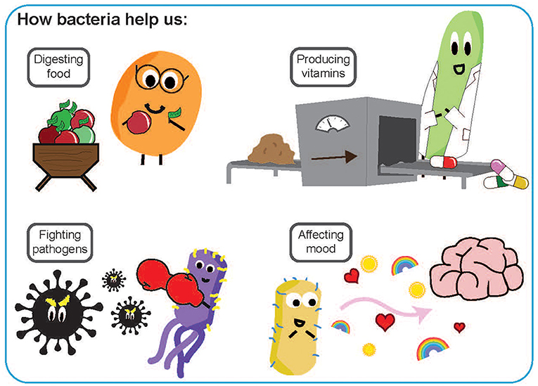 Illustration showing how bacteria benefit humans. Top left: cartoon bacteria digesting food near fruits. Top right: bacteria in a lab coat producing vitamins. Bottom left: bacteria fighting pathogens, depicted as boxing figures. Bottom right: bacteria affecting mood, shown with hearts and rainbows leading to a brain.