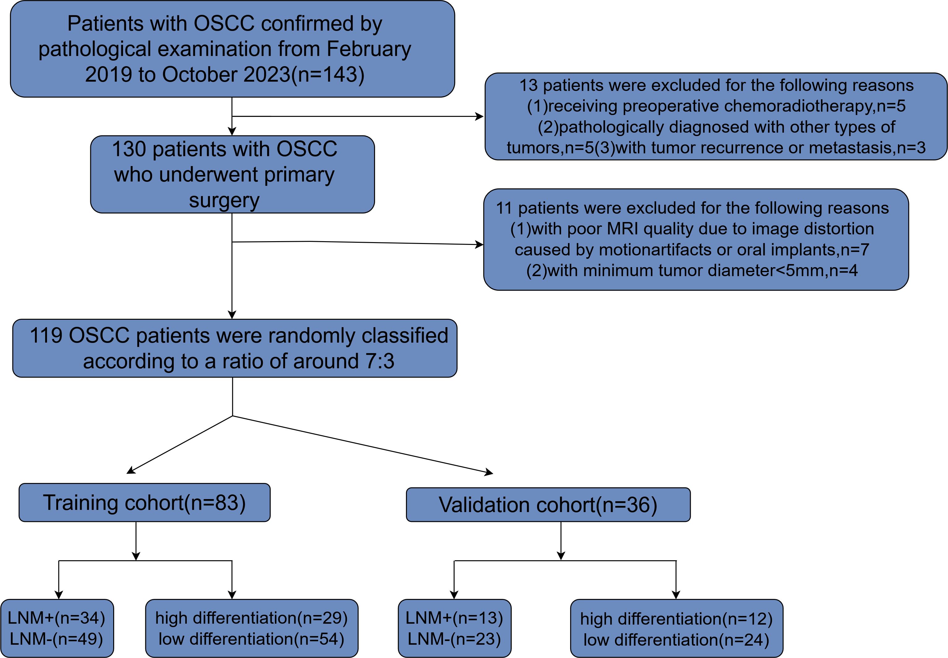 Flowchart detailing the patient selection process for OSCC study from February 2019 to October 2023. It begins with 143 patients, with exclusions for those receiving preoperative treatment, having other tumor types, or with tumor recurrence. After exclusions, 130 patients underwent primary surgery, with further exclusions for poor MRI quality or small tumors. Finally, 119 patients were categorized into training (n=83) and validation (n=36) cohorts based on certain criteria, including lymph node metastasis and tumor differentiation.