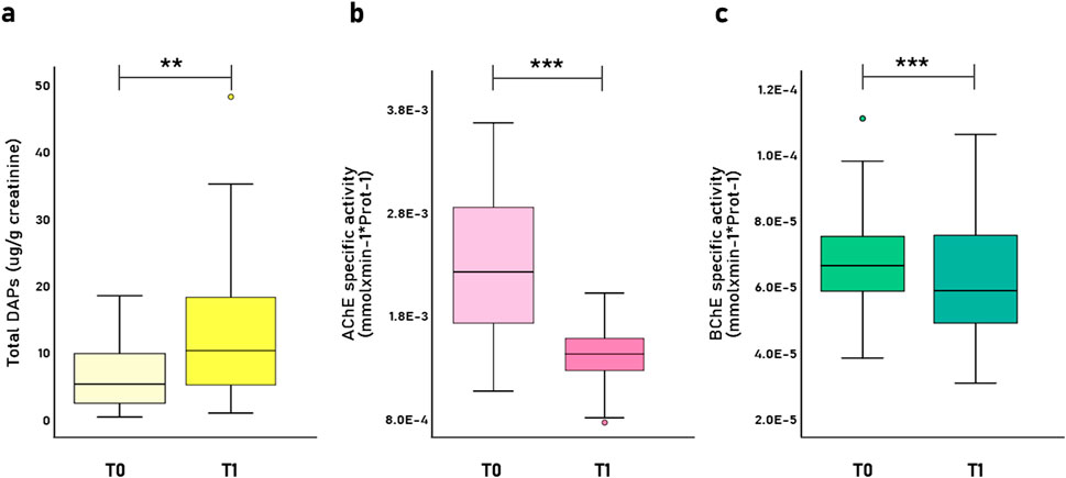 Box plots labeled a, b, and c showing comparisons at time points T0 and T1. Plot a displays Total DAPs concentration, with a significant increase from T0 to T1. Plot b shows AChE specific activity, significantly decreasing from T0 to T1. Plot c illustrates BChE specific activity, which also significantly decreases from T0 to T1. Statistical significance is indicated with asterisks above each plot.