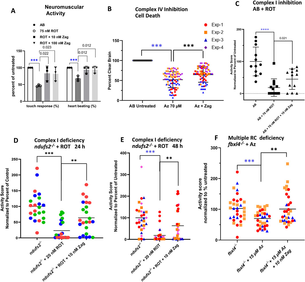 Bar and scatter plot graphs depict various experiments on neuromuscular activity and cell death. The plots show effects of different treatments (ROT, Zag, Az) on parameters like touch response, heart beating, and activity scores. Significant differences are indicated by asterisks, with p-values marked. Each graph presents data from multiple experiments, represented by differently colored symbols.