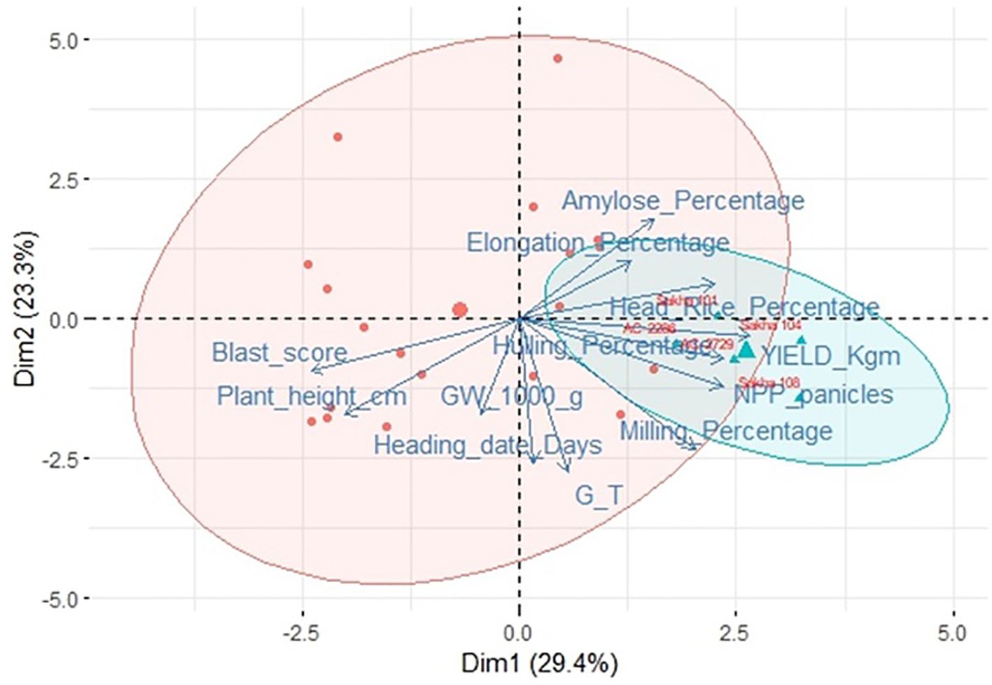 PCA biplot showing top genotypes with two dimensions: Dim1 (29.4%) and Dim2 (23.3%). Red dots and blue triangle symbols represent genotypes. Blue vectors indicate variables like amylose percentage, yield, and plant height. Red and blue ellipses highlight groupings.
