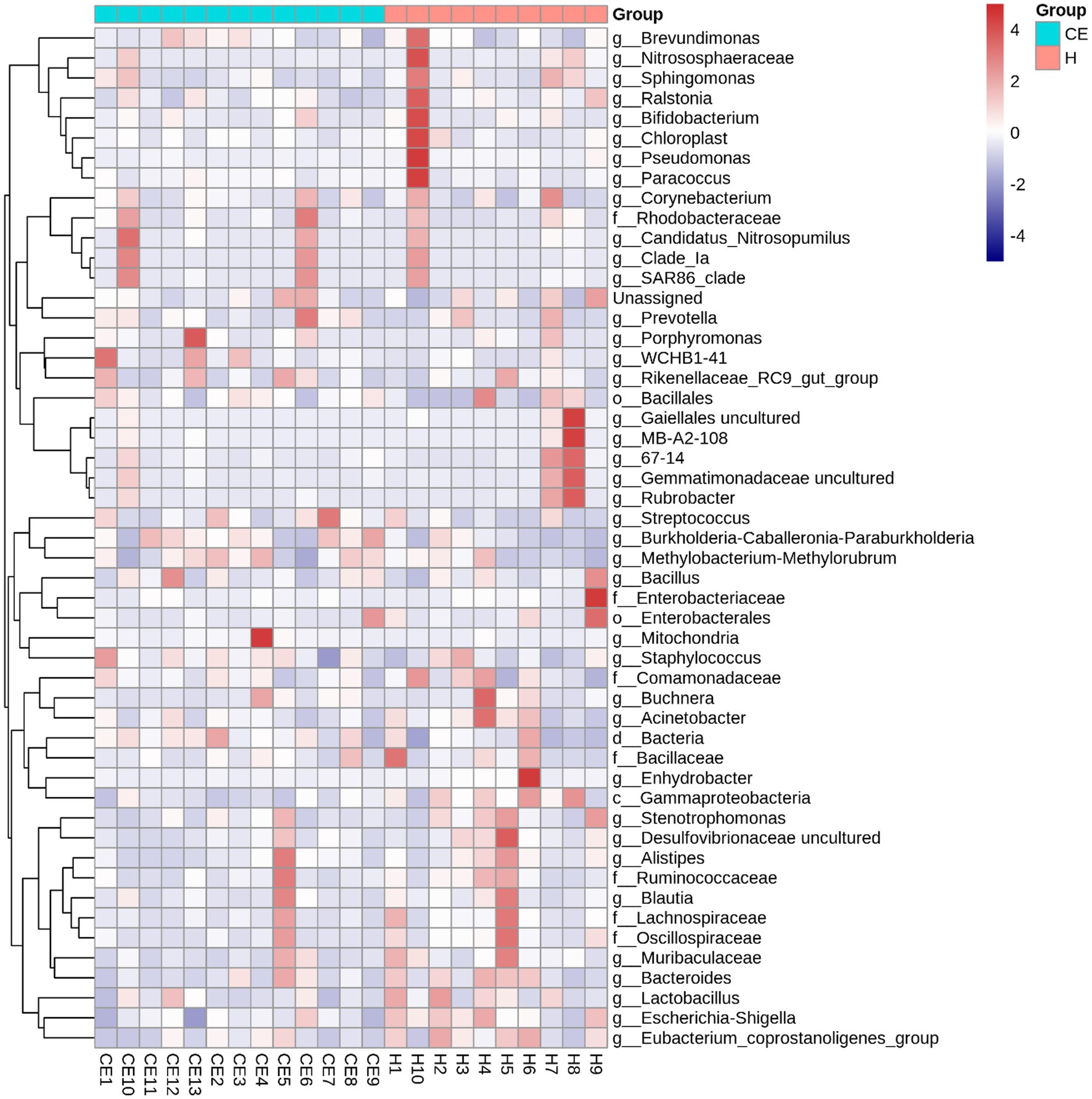 Heatmap of microbial taxa abundance across CE and H samples. The color gradient from blue to red represents quantitative abundance (low to high). Accompanying hierarchical clustering dendrogram displays phylogenetic relationships and co-occurrence patterns among taxa.