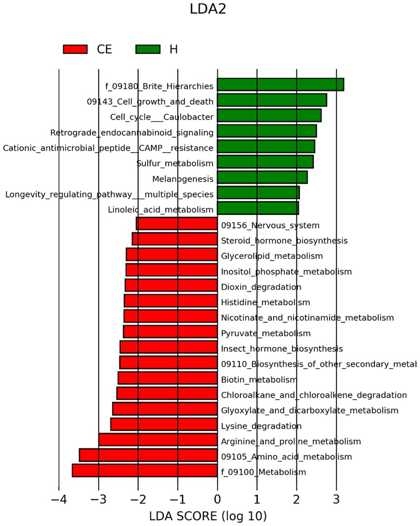 LDA score (log10) bar chart profiling significantly enriched KEGG pathways in CE (red) versus H (green) groups. CE-associated pathways (e.g., Lysine degradation, Arginine metabolism) have negative LDA scores; H-associated pathways (e.g., Cell growth, Retrograde signaling) have positive scores. Legend differentiates group assignment.