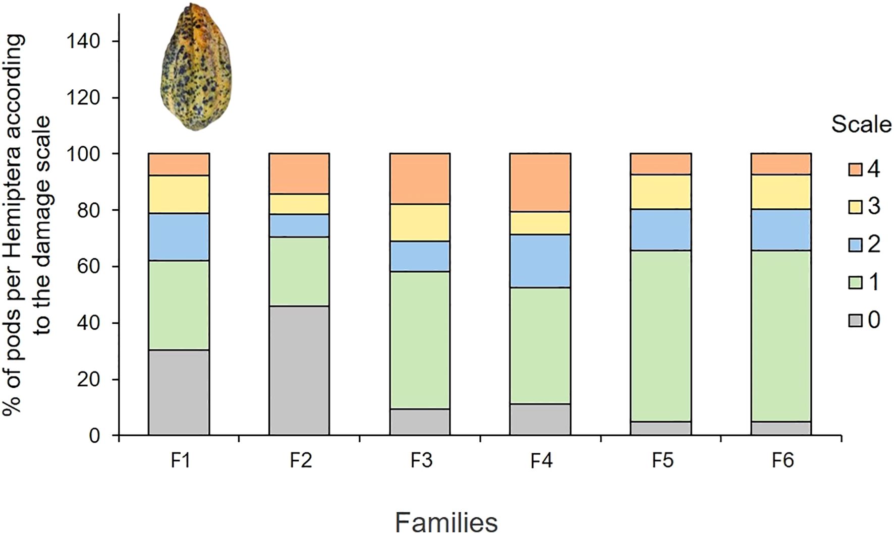 Stacked bar chart displaying the percentage of pods per Hemiptera across six families (F1 to F6) according to a damage scale from zero to four. Each bar is divided into colored segments representing the scale levels: gray for zero, green for one, blue for two, yellow for three, and orange for four. A damaged pod is shown above the chart.