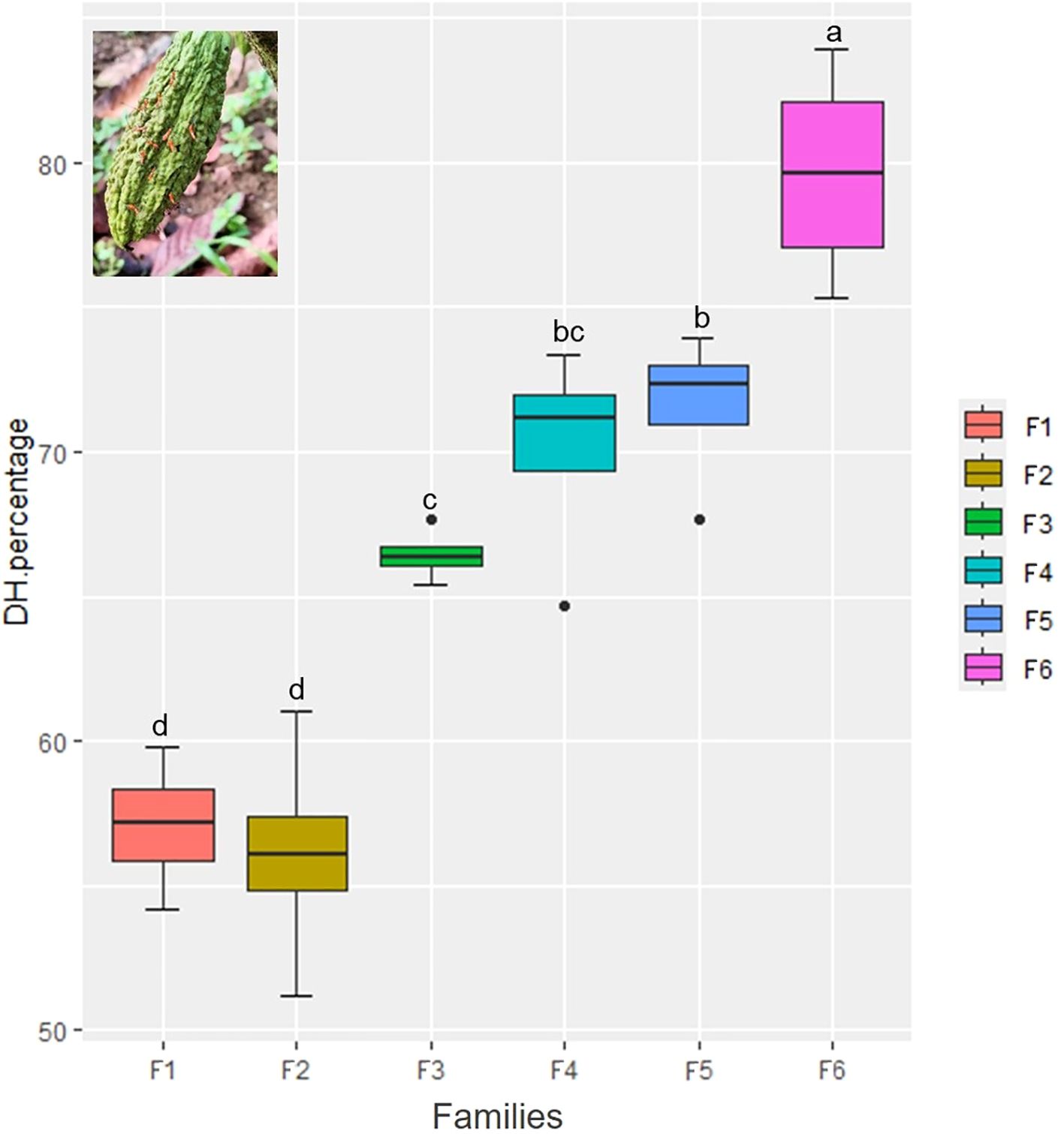 Boxplot showing DH percentage across six families (F1 to F6) with varying letter annotations indicating statistical significance. F6 has the highest DH percentage. An inset image shows a green, elongated natural object with a textured surface.