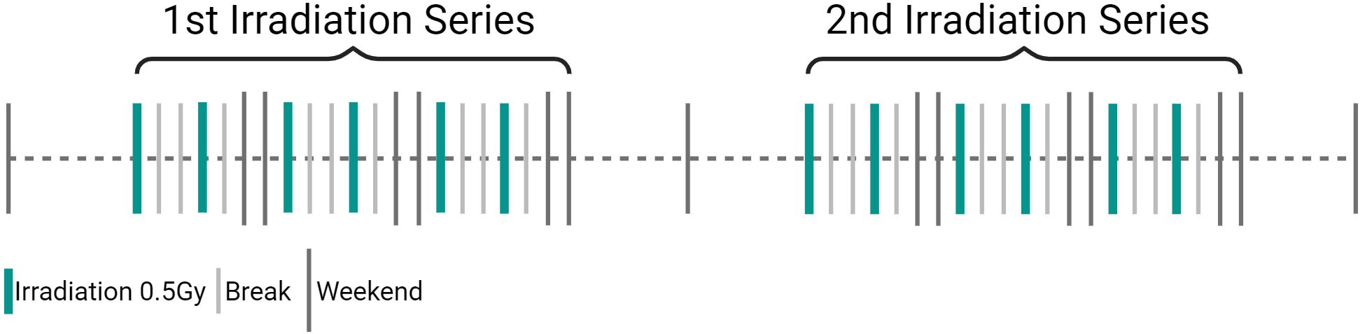 Diagram illustrating irradiation schedules. The 1st and 2nd irradiation series are shown with blue bars indicating 0.5 Gy irradiation sessions, separated by gray lines for breaks and longer gray lines for weekends.