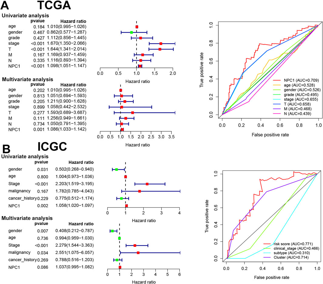Two panels compare TCGA and ICGC analyses. Panel A shows TCGA univariate and multivariate analyses with hazard ratios and a ROC curve with different factors. Panel B shows ICGC univariate and multivariate analyses with hazard ratios and a ROC curve highlighting different predictive scores and factors. Both panels display forest plots and receiver operating characteristic (ROC) curves with data points and confidence intervals.