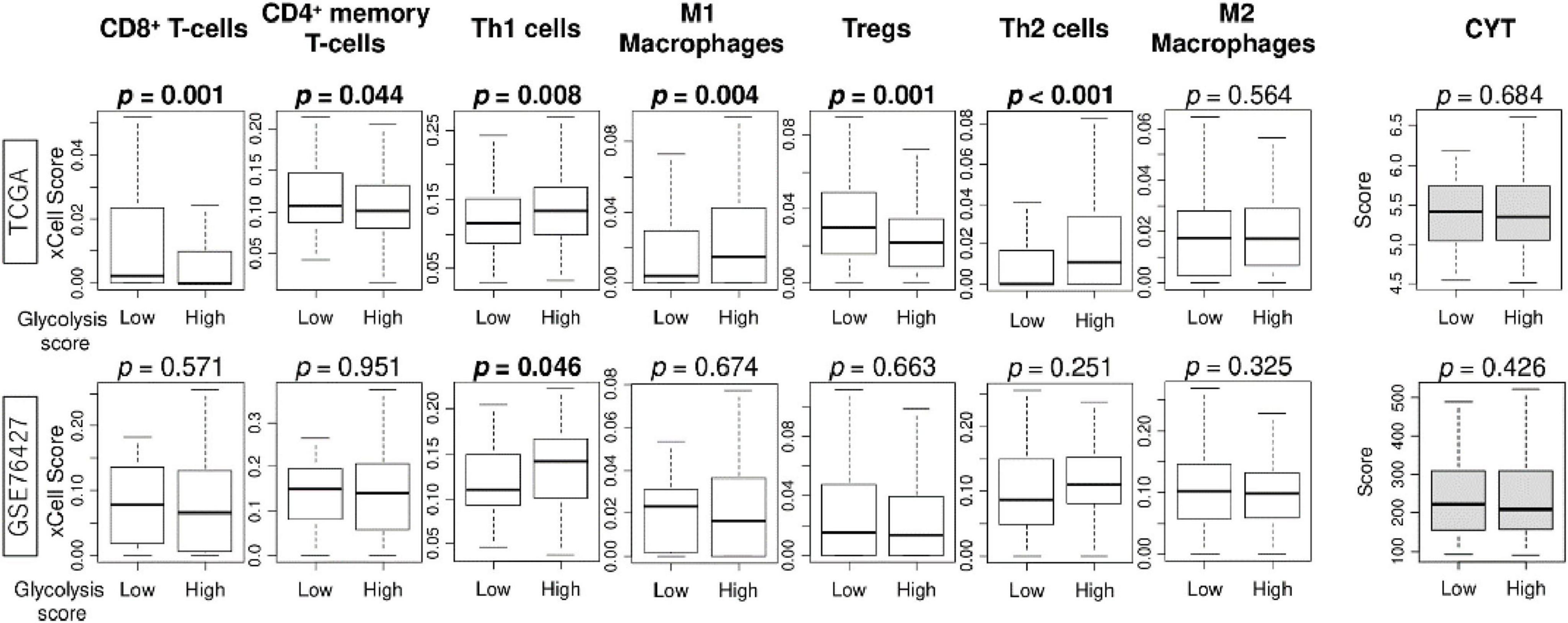 Box plot analysis showing the relationship between glycolysis scores and different immune cell types across two datasets, TCGA and GSE76427. Each cell type is compared between low and high glycolysis groups, with corresponding p-values indicating statistical significance.