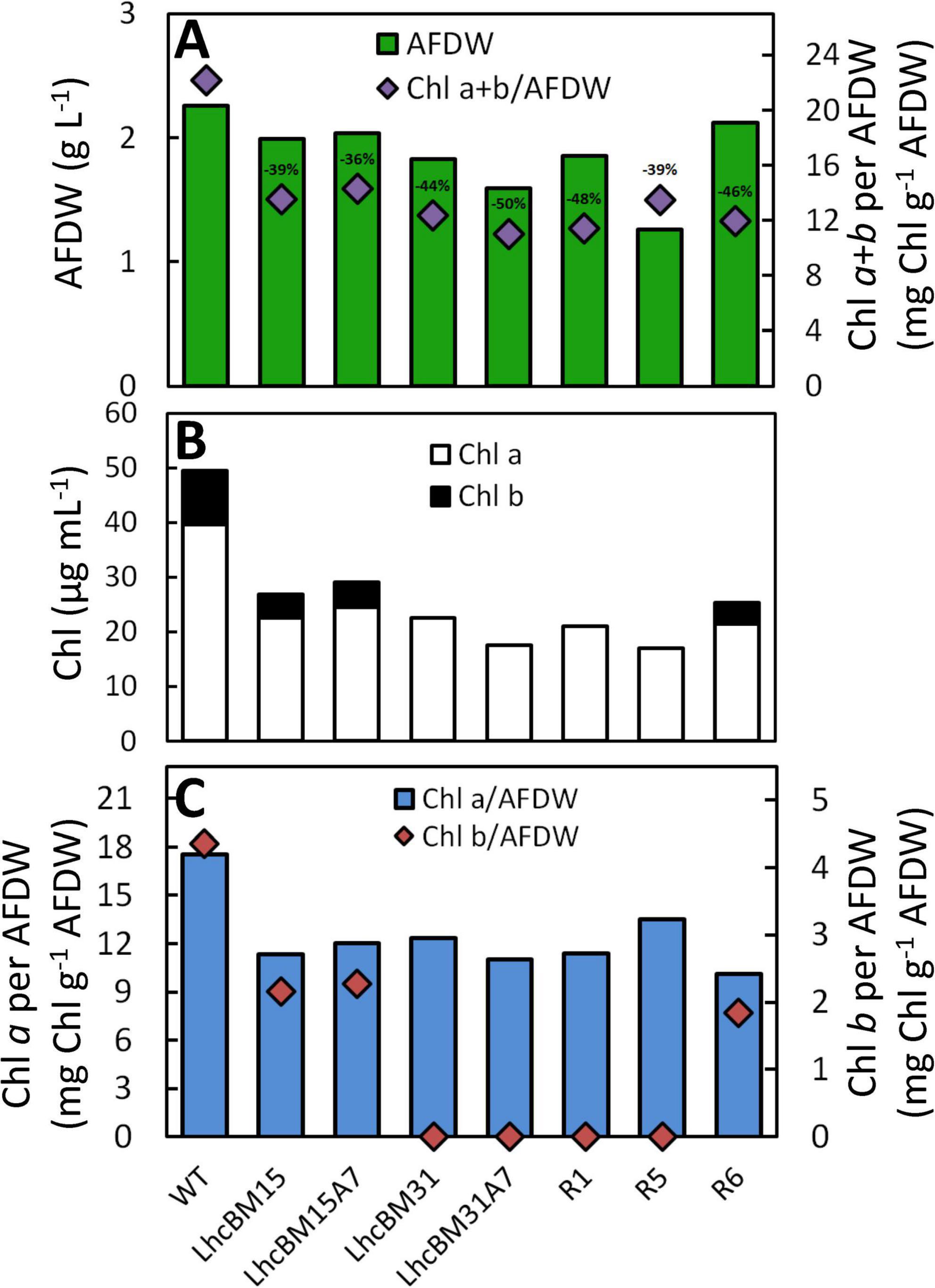 Bar graphs showing various data related to chlorophyll and ash-free dry weight in different genetic lines. Graph A shows AFDW in green bars with Chl a+b/AFDW as diamonds, with percentage changes noted. Graph B displays Chl a and Chl b in stacked bars. Graph C illustrates Chl a/AFDW and Chl b/AFDW with blue bars and red diamonds, respectively, across different line labels like WT and R1.