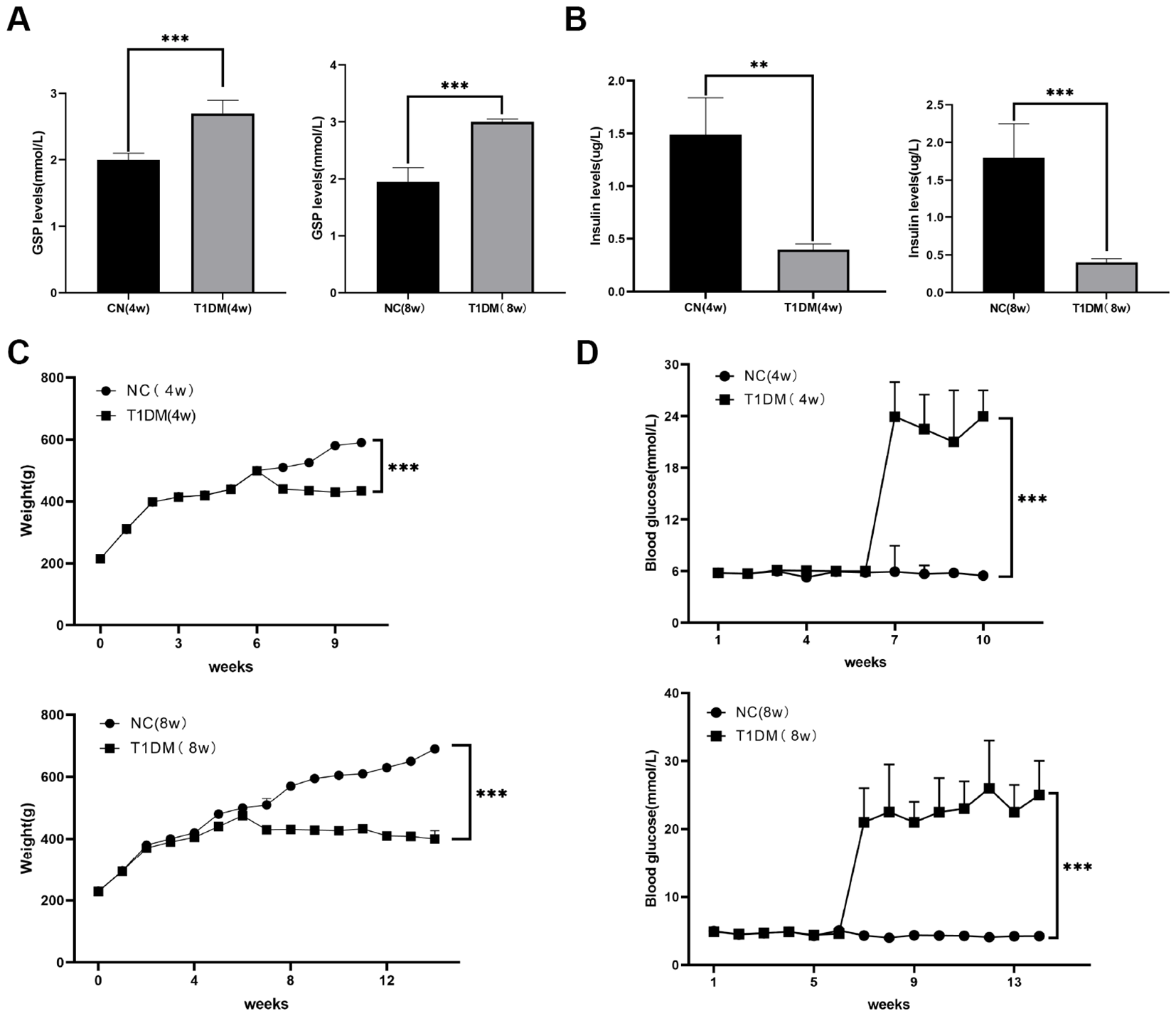 Graphs showing various metrics in CN and T1DM groups. A: GSP levels are higher in T1DM than in CN at both 4 and 8 weeks. B: Insulin levels are lower in T1DM compared to CN at 4 and 8 weeks. C: Weight increases over time, higher in CN than T1DM at 4 and 8 weeks. D: Blood glucose is consistently higher in T1DM than CN across the weeks measured. Significant differences are marked with asterisks.