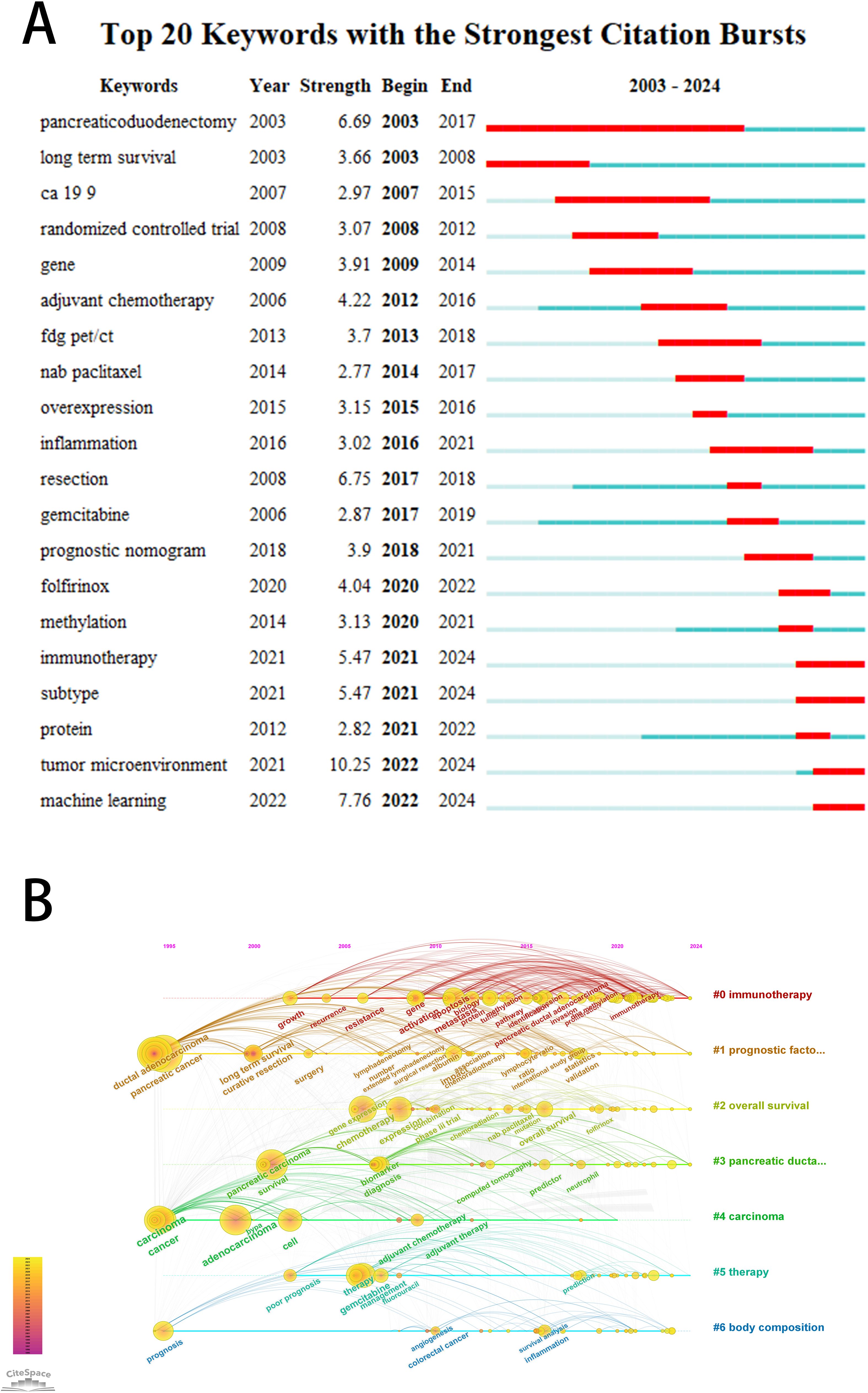 Panel A displays a chart of the top 20 keywords with strong citation bursts from 2003 to 2024. Each keyword is listed with its burst strength and time span, highlighted in red bars on a timeline. Notable keywords include “tumor microenvironment” and “machine learning.” Panel B shows a citation network diagram visualizing keyword relationships over time from 1995 to 2024, with clusters labeled by themes like “immunotherapy” and “prognostic factor.” The network uses colored lines and nodes to represent connections and research trends.