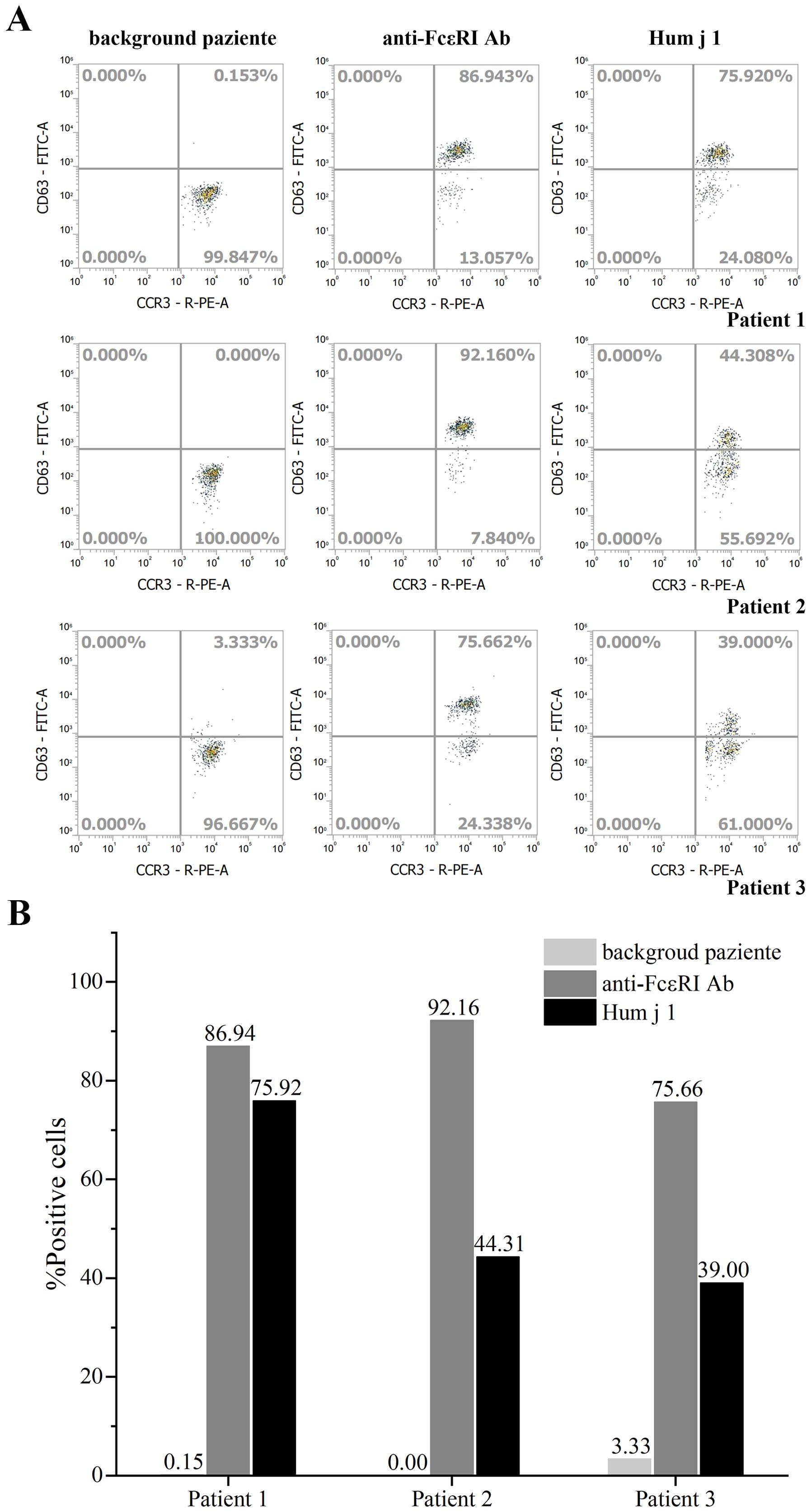 Panel A shows scatter plots comparing cell surface markers CD63 and CCR3 across three conditions: background, anti-FcεRI Ab, and Hum j 1, for three patients. Panel B displays a bar graph illustrating the percentage of positive cells under the same conditions and patients. The markers indicate varying activation levels, with higher percentages for anti-FcεRI Ab and Hum j 1 in most patients, compared to the background.