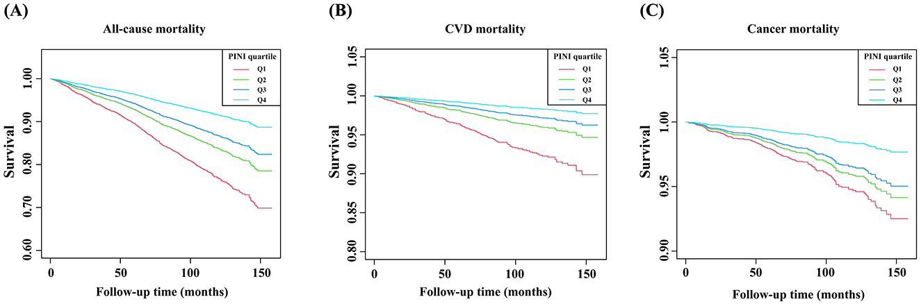 Three survival curves display different mortality types over follow-up time in months. (A) Shows all-cause mortality, (B) shows cardiovascular disease (CVD) mortality, and (C) shows cancer mortality. Each panel includes quartiles (Q1 to Q4) tracked over time, with survival probability decreasing as time progresses. The curves differentiate by color, and a legend is provided in each panel.