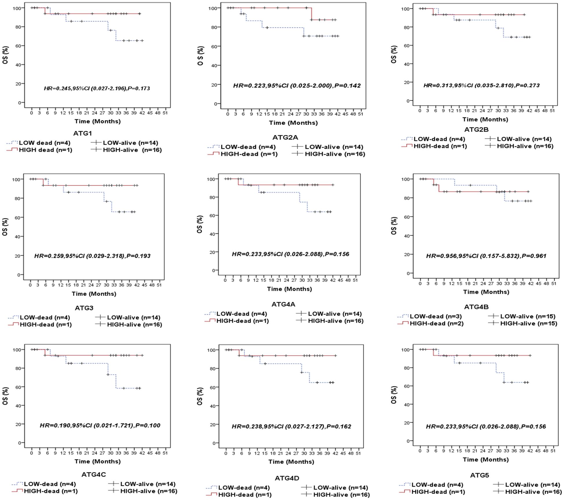 Nine Kaplan-Meier survival curves showing Overall Survival (OS) over time in months for different conditions (ATG1 to ATG5). Each graph compares groups labeled as LOW-dead, LOW-alive, HIGH-dead, and HIGH-alive. Hazard ratios (HR) and p-values are provided for each, indicating statistical analysis results.
