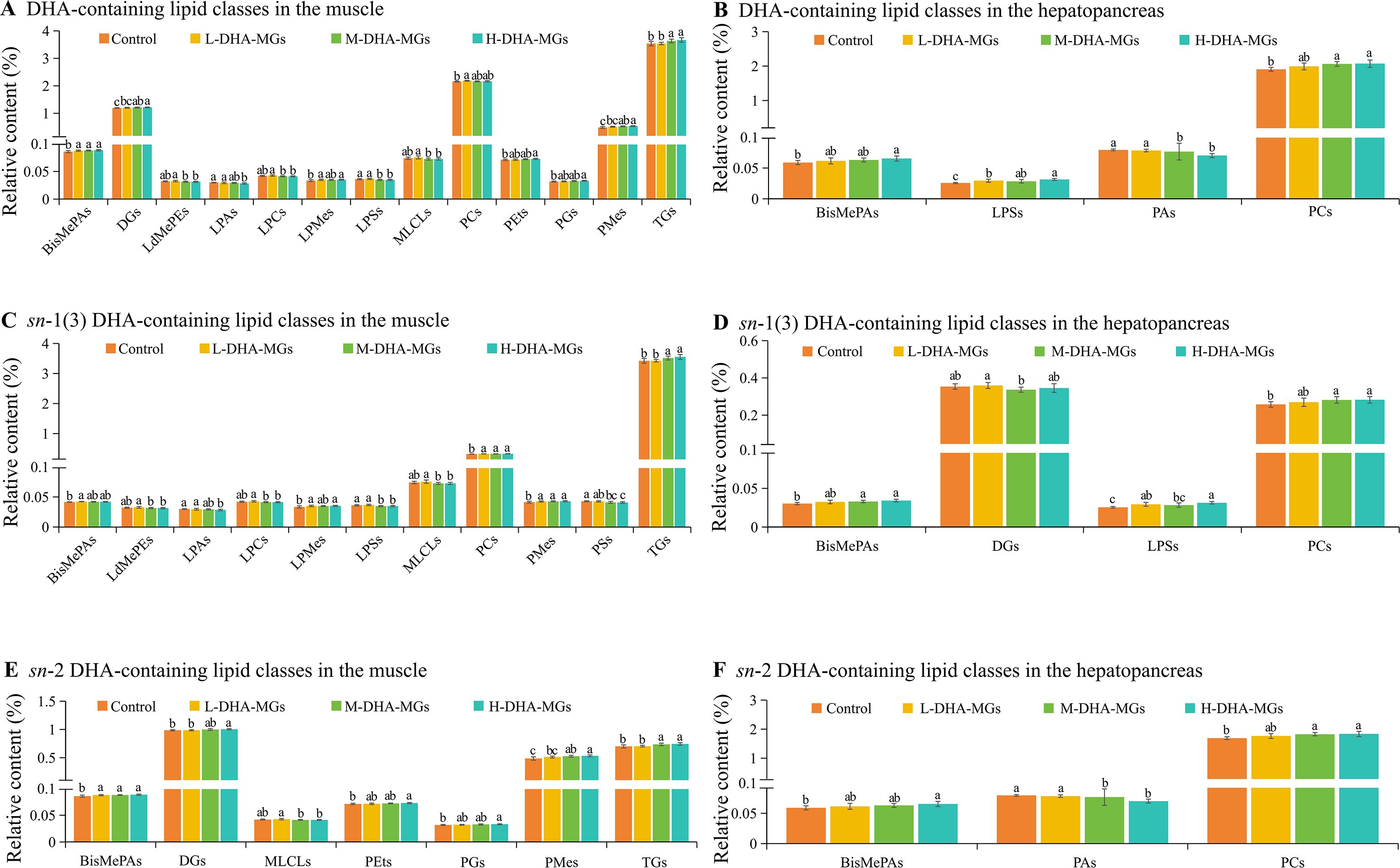 Bar charts display DHA-containing lipid classes and their positional distribution in muscle and hepatopancreas tissue. Panels A-F show different treatments: Control, L-DHA-MGs, MDHA-MGs, H-DHA-MGs. Each chart compares DHA-containing lipid classes like BisMePAs, LPCs, and PCs, with relative content percentage on the y-axis. Statistical annotations indicate significant differences between groups.