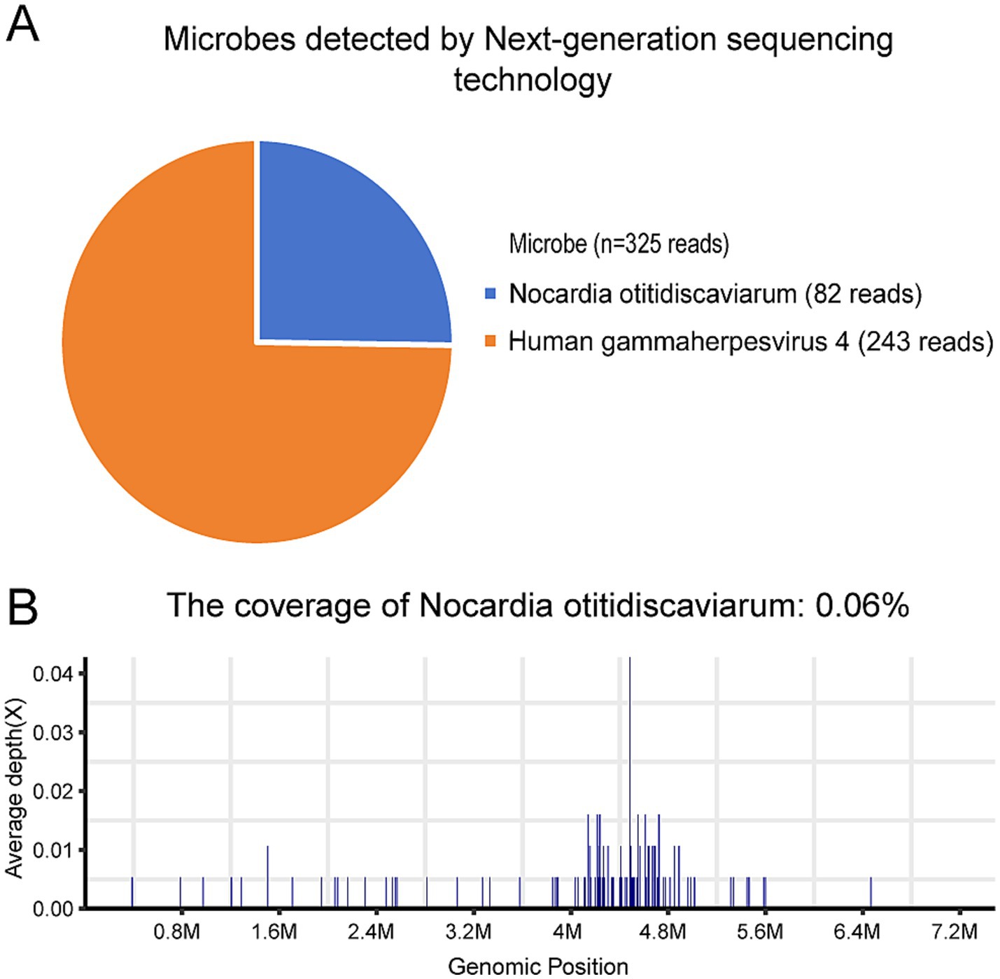 Pie chart and bar graph illustrating microbial detection by next-generation sequencing technology. The pie chart shows two microbes: Human gammaherpesvirus 4, comprising 243 reads (orange), and Nocardia otitidiscaviarum, comprising 82 reads (blue). The bar graph shows the genomic coverage of Nocardia otitidiscaviarum, indicating a 0.06% coverage with spikes in average depth across genomic positions from zero to 7.2 million base pairs.