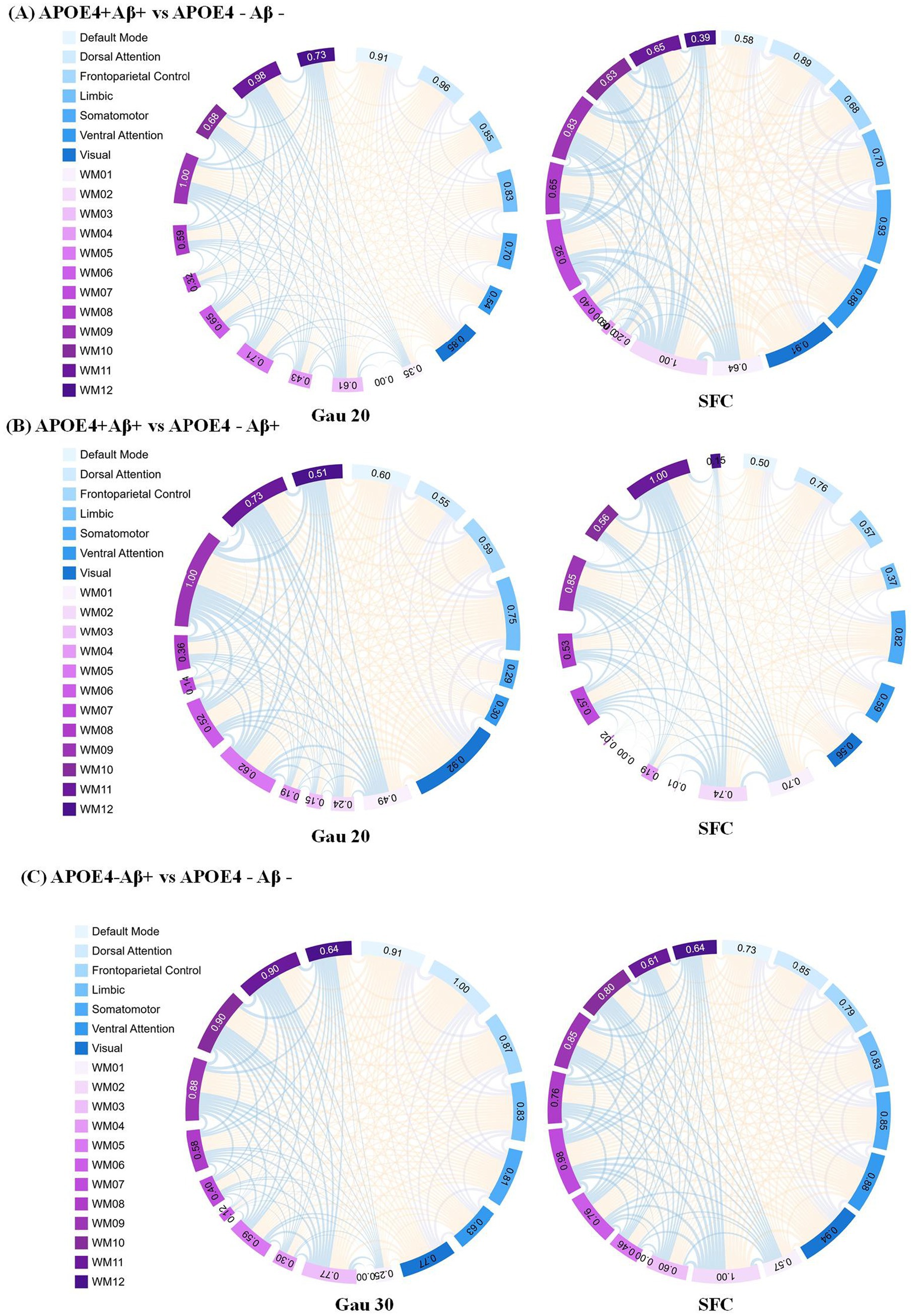 Three chord diagrams compare brain network connections between different APOE and amyloid-beta profiles. Labels indicate various brain networks, with color-coded connections illustrating relationship strength. Panels (A) and (B) feature Gau 20 comparisons, while panel (C) shows a Gau 30 comparison.