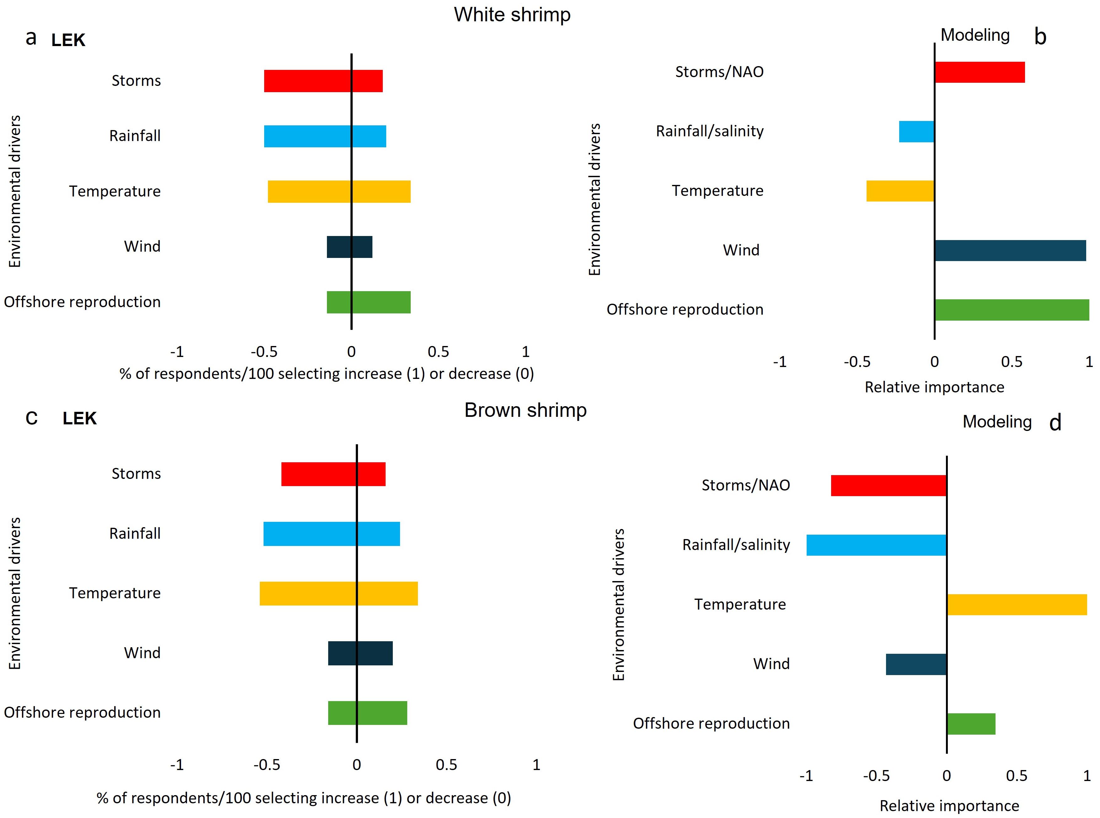 Four horizontal bar charts compare the effects of various factors on white and brown shrimp using LEK and modeling. Charts a and c show LEK data for storms, rainfall, temperature, wind, and offshore reproduction. Charts b and d present modeling data for storms/NAO, rainfall/salinity, temperature, wind, and offshore reproduction. Each chart is color-coded with effects ranging from negative to positive.