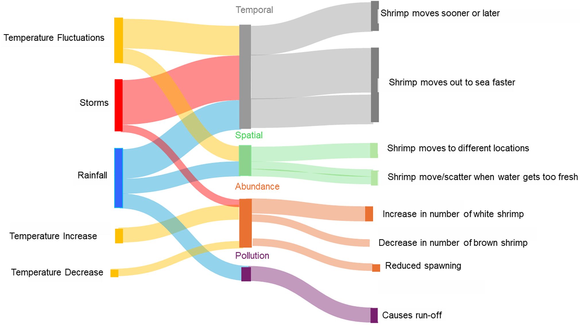 Sankey diagram illustrating the effects of environmental factors on shrimp. Temperature fluctuations, storms, and rainfall influence shrimp behavior in temporal, spatial, and abundance contexts. Outcomes include shrimp timing movements, location shifts, changes in white and brown shrimp numbers, and reduced spawning. Pollution is linked to run-off effects.