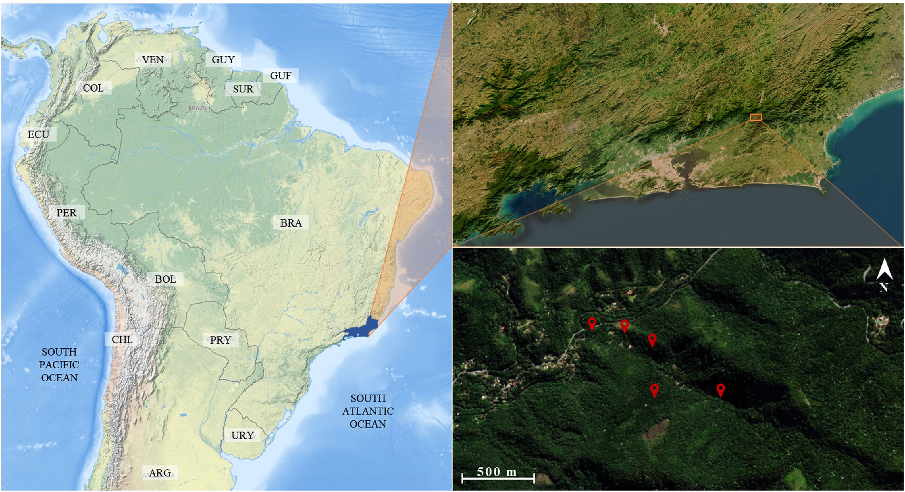 Location of the sampling sites. The study area was located in South America, Brazil, State of Rio de Janeiro, Cachoeiras de Macacu city. The red pins show the exact locations, in a range from 0 to 1.000 meters from the entrance of the Jequitibá Nucleos of the Three Peaks State Park.